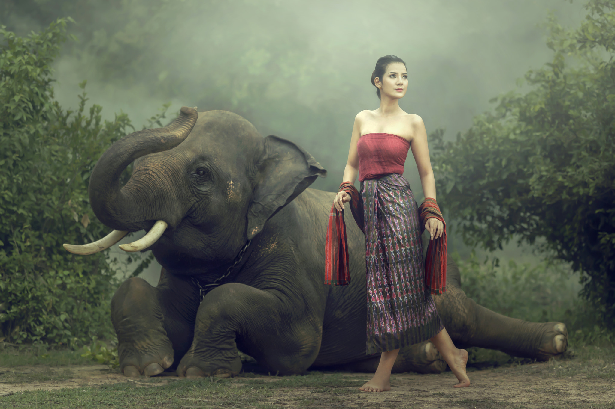 Canon EF 70-200mm F2.8L IS USM sample photo. Elephant with asian girl photography