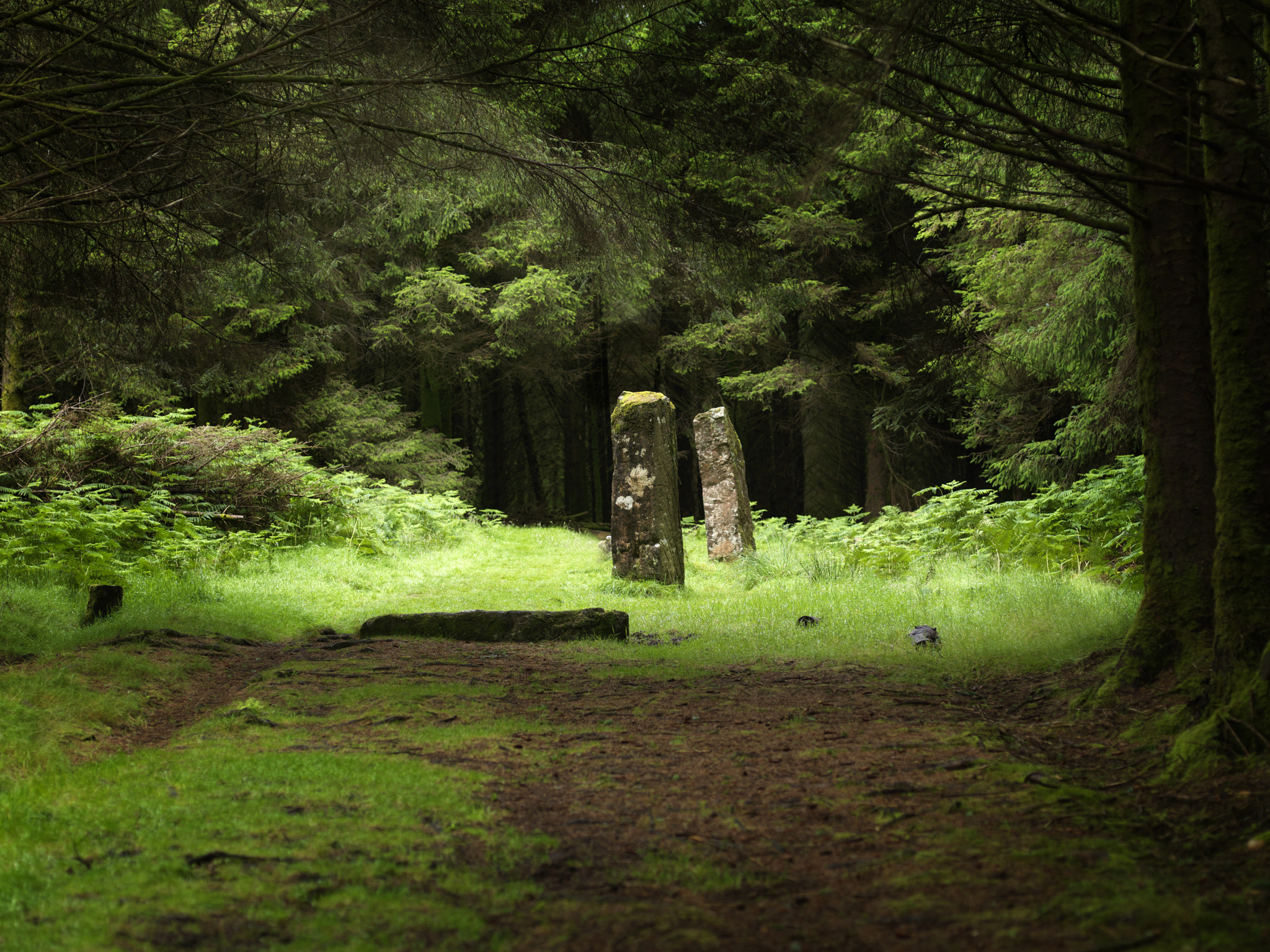 Hasselblad H3DII-39 sample photo. Kingarth standing stones (rothesay, scotland) photography