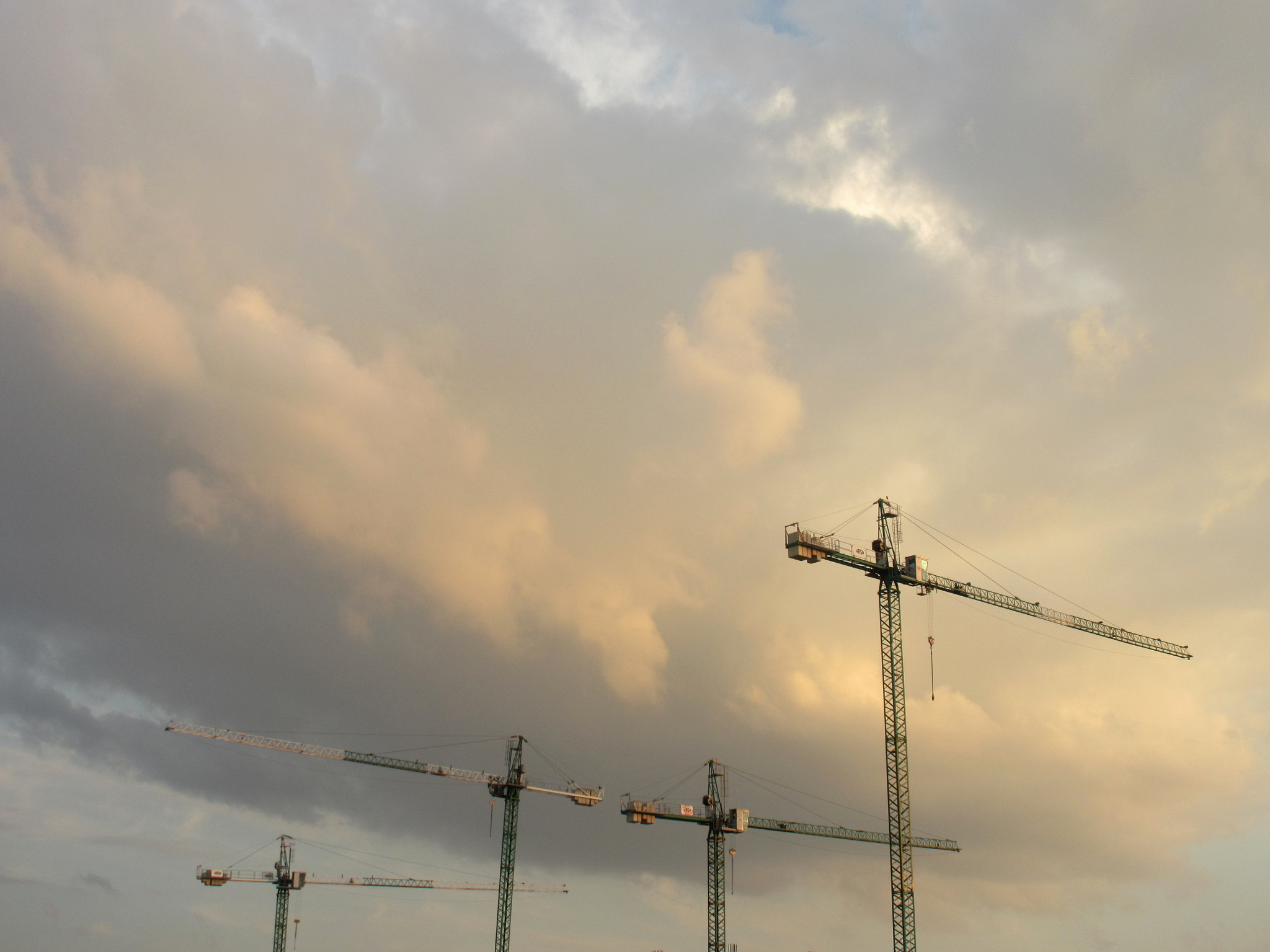 Canon PowerShot ELPH 340 HS (IXUS 265 HS / IXY 630) sample photo. Crane family photography