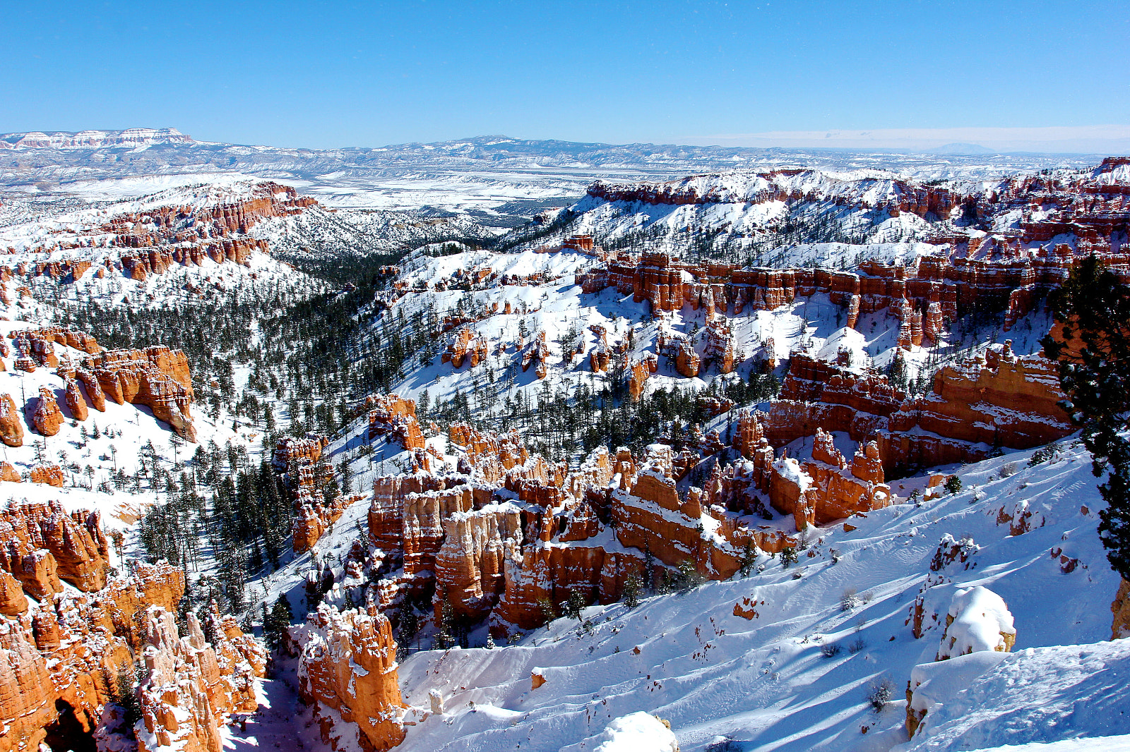 Canon EOS 60D + Canon EF 17-40mm F4L USM sample photo. Bryce canyon photography