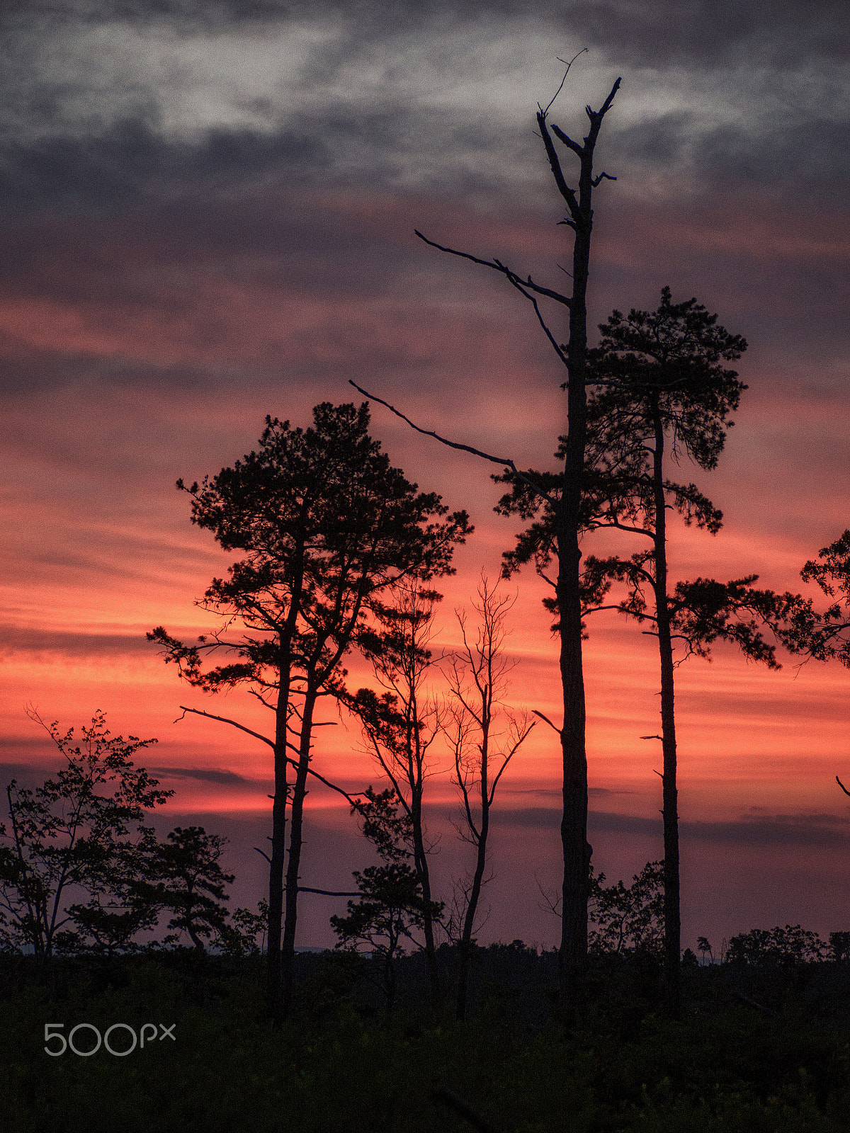 Olympus OM-D E-M10 sample photo. Summer solstice photography
