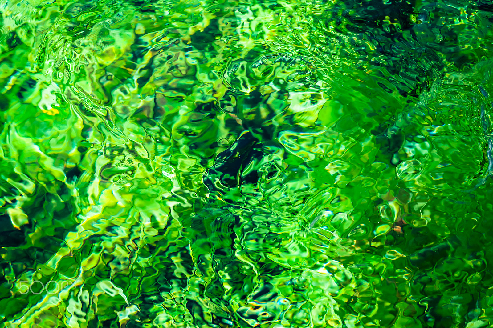 Sony Alpha DSLR-A700 sample photo. Green photography