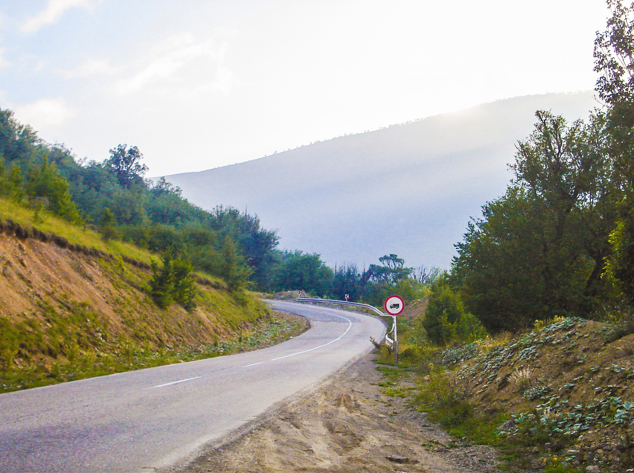 Sony DSC-S40 sample photo. Road beside forest photography