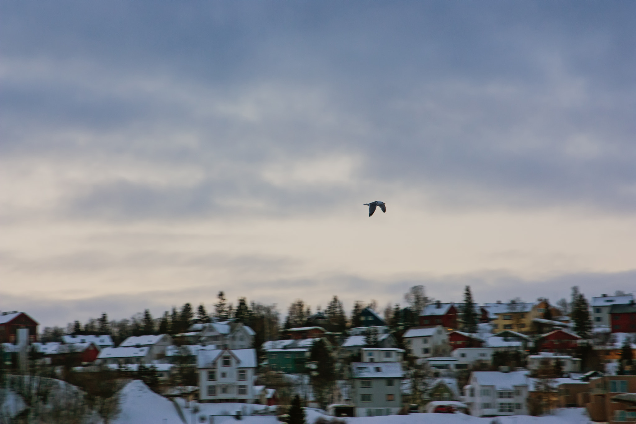 Canon EF 28-105mm f/3.5-4.5 USM sample photo. Flight over tromsø photography