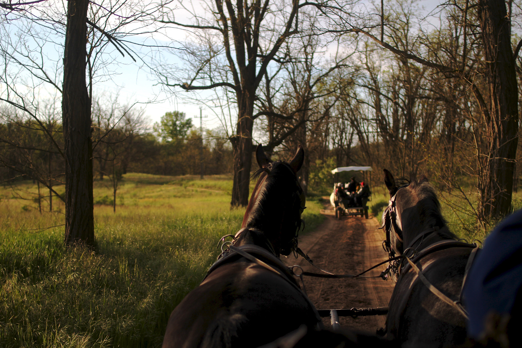 Canon EOS 550D (EOS Rebel T2i / EOS Kiss X4) + Canon EF 35mm F2 sample photo. Horse rides photography