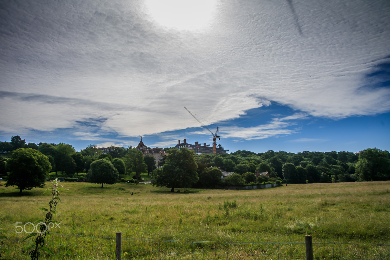 Canon EF-S 17-85mm F4-5.6 IS USM sample photo. Richmond hill photography