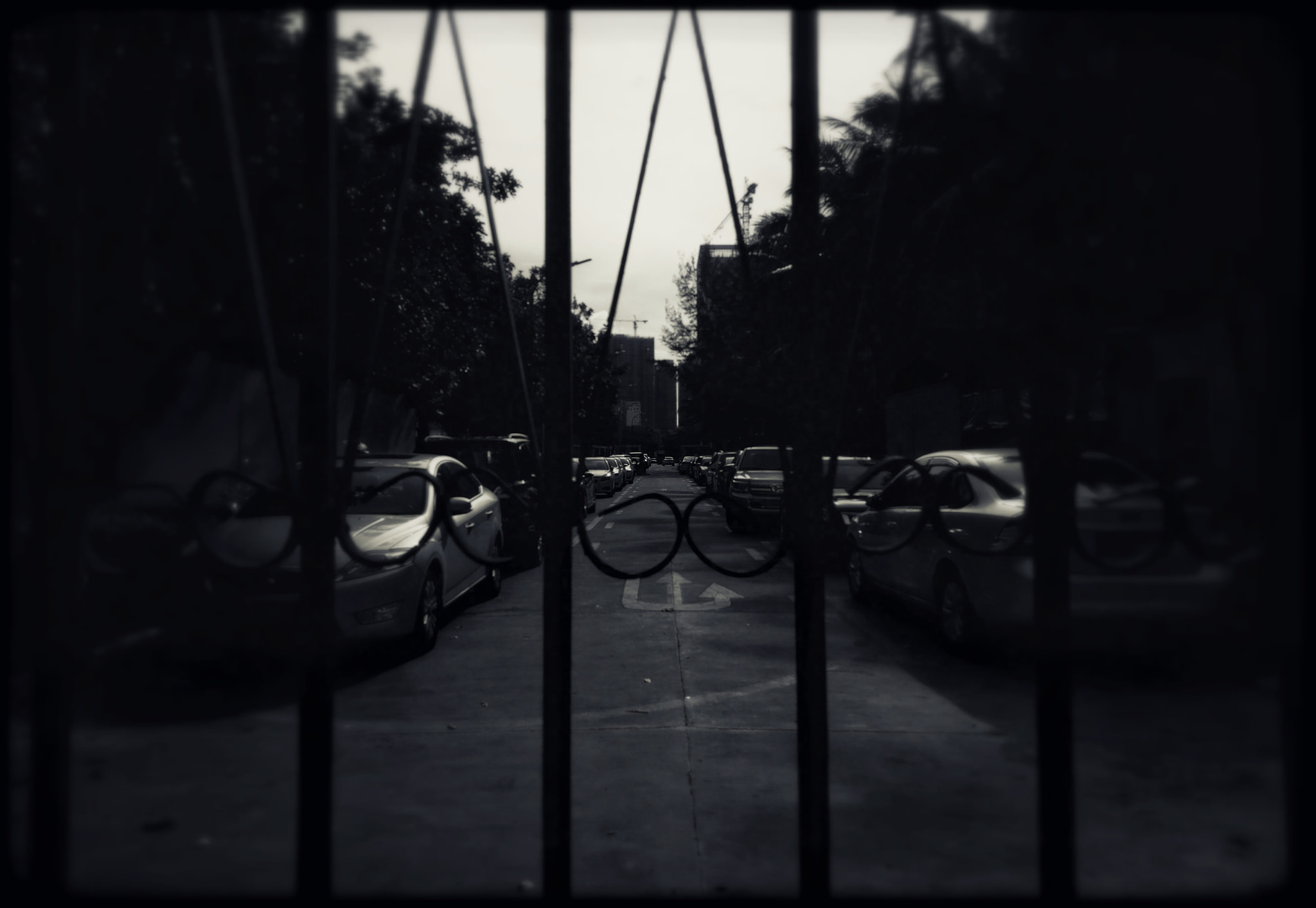 OPPO R7s sample photo. Untitled photography