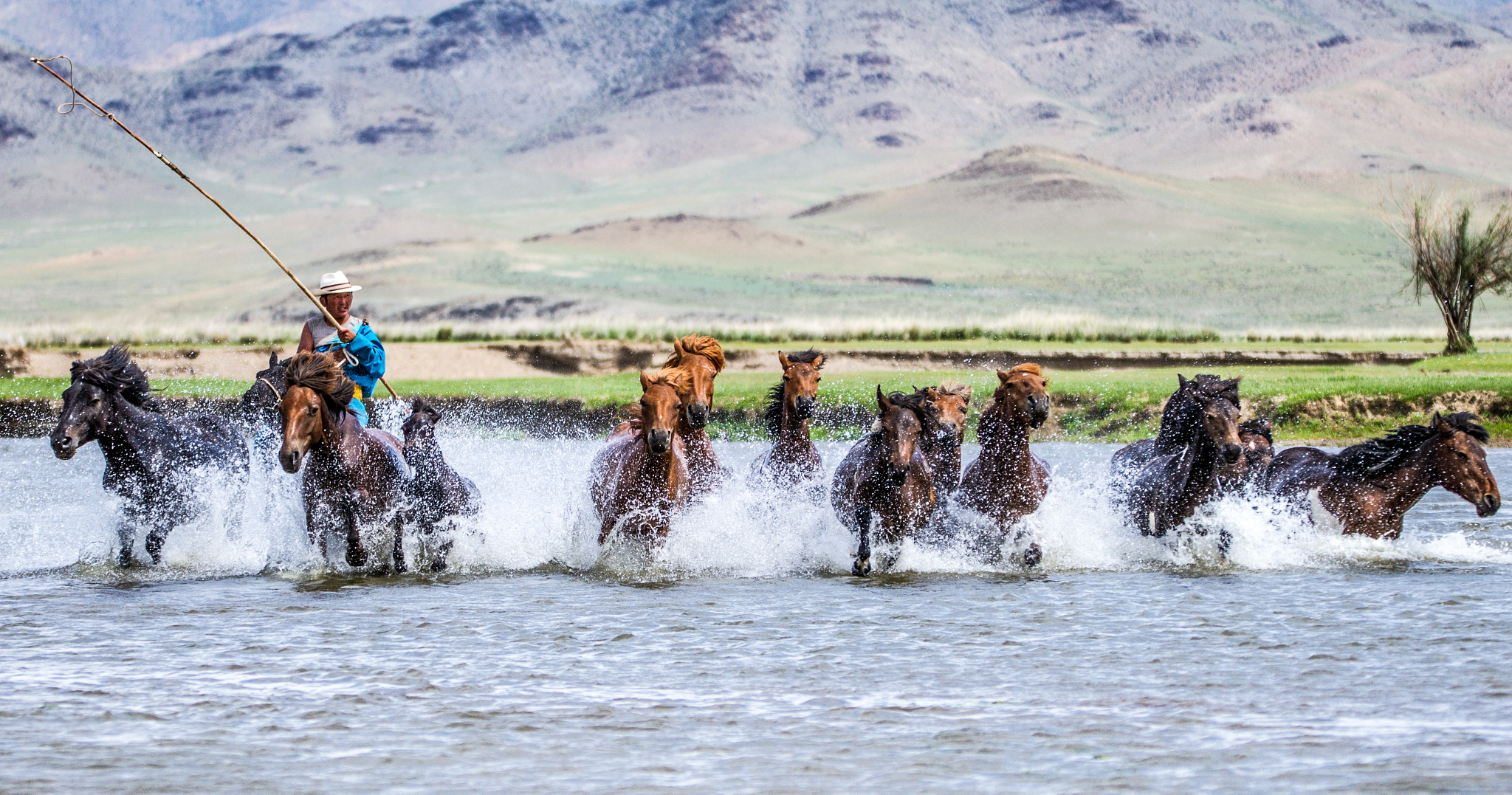 Sigma 150-600mm F5-6.3 DG OS HSM | C sample photo. (daily nomadic life) photography