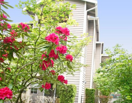 v2?sig=303e49e4611ca210a7d1d0b3ebb4dcedfa178c7698ed32c2d9e7df8da6ec9004