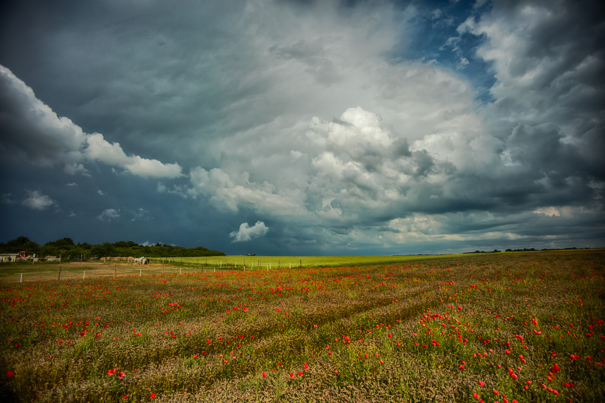 Canon EOS 5DS + Tamron AF 19-35mm f/3.5-4.5 sample photo. Exhib photography