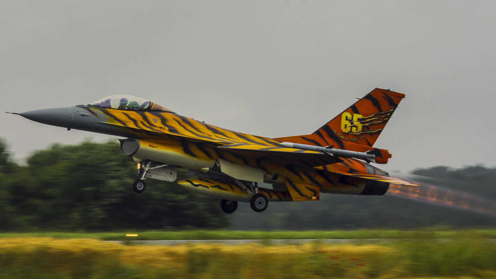 Canon EF 100-400mm F4.5-5.6L IS USM sample photo. Tiger tiger tiger ! photography