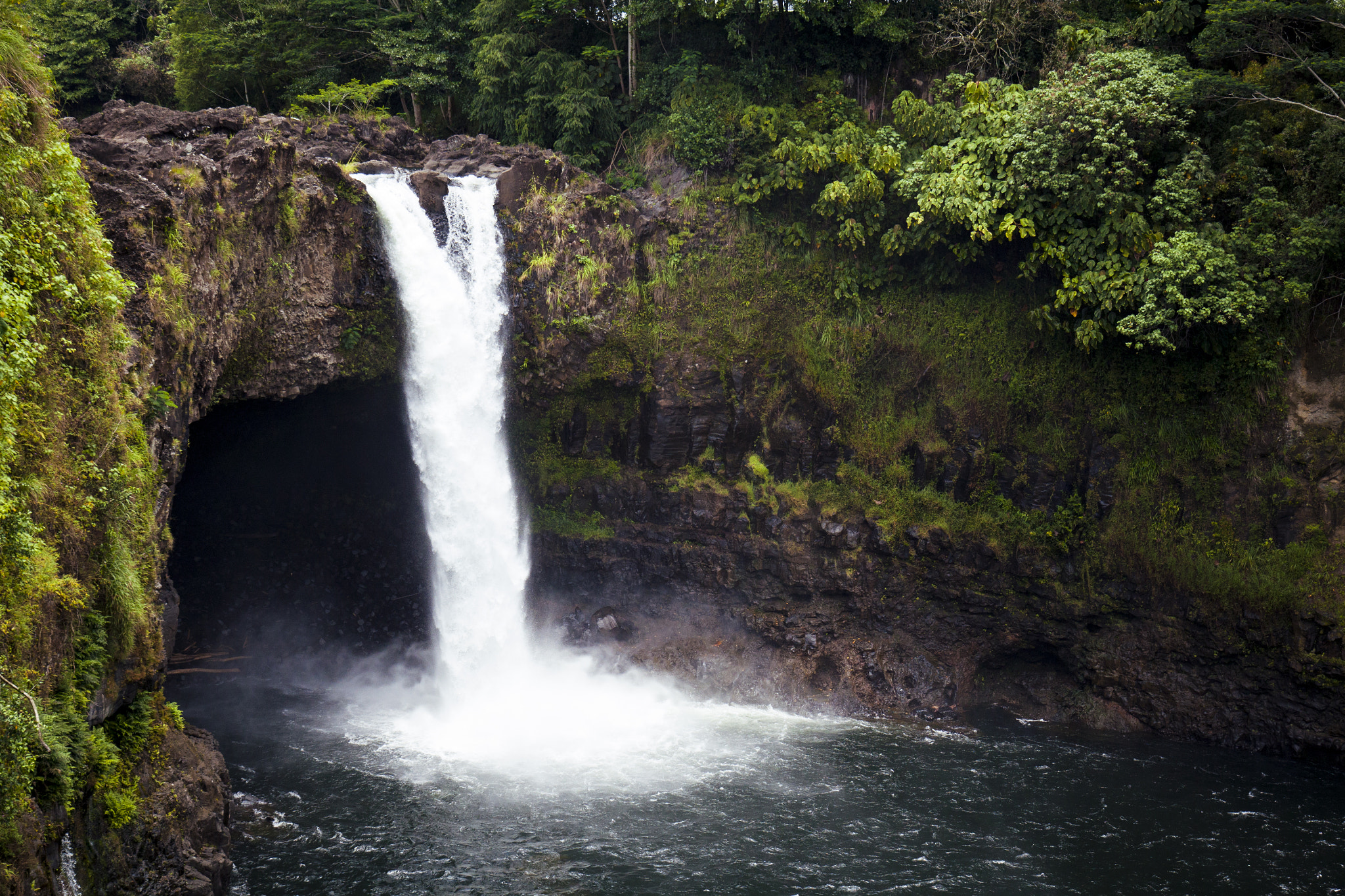 Canon EOS 500D (EOS Rebel T1i / EOS Kiss X3) + Canon EF 16-35mm F4L IS USM sample photo. Aloha kakahiaka photography