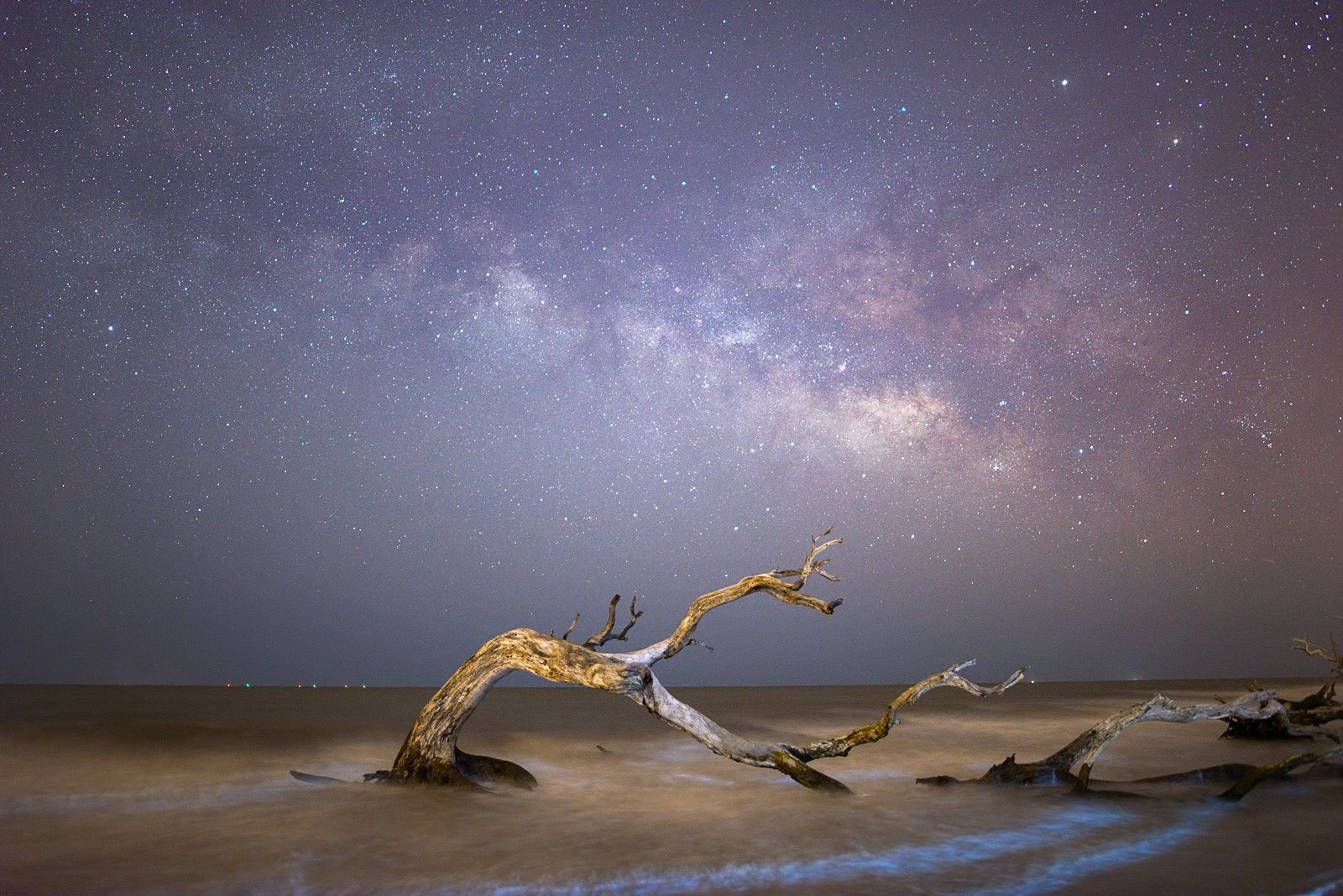 Nikon D600 + Samyang 12mm F2.8 ED AS NCS Fisheye sample photo. Jekyll driftwood photography