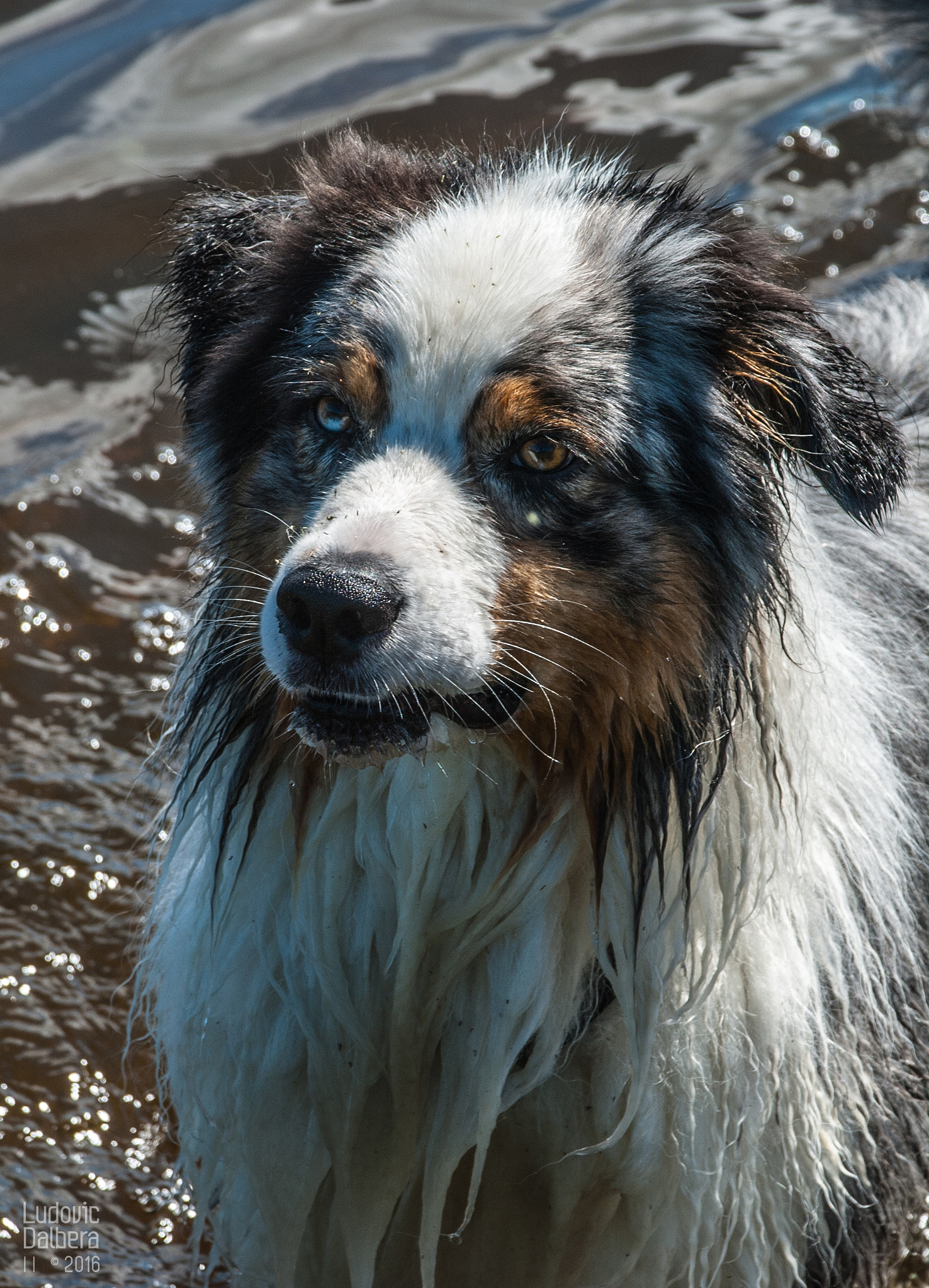 Nikon D40X sample photo. Bergeraustralien photography