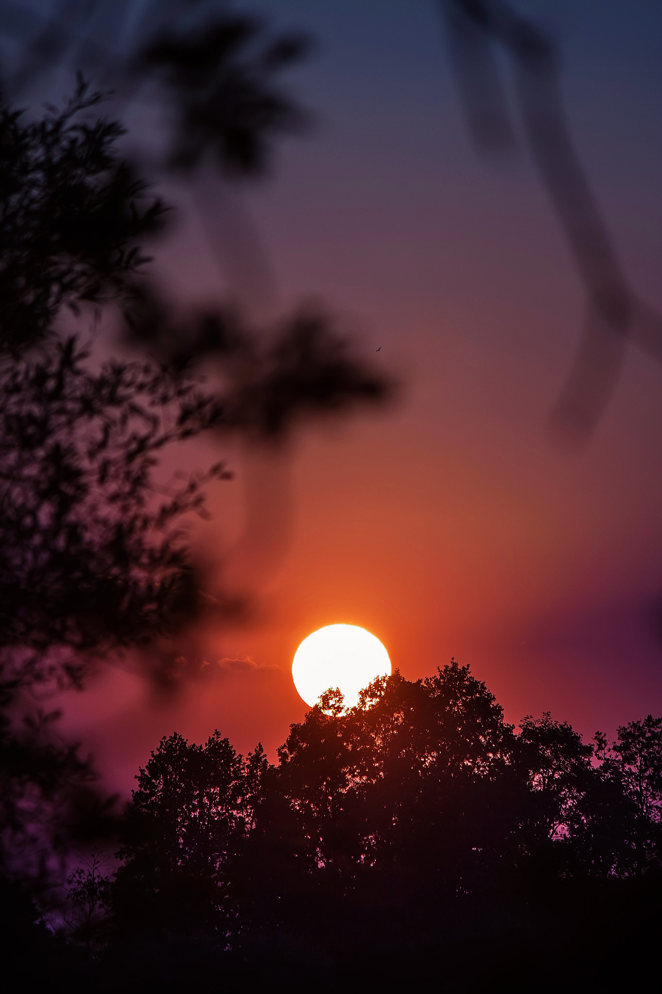 Canon EOS 40D sample photo. Sundown photography