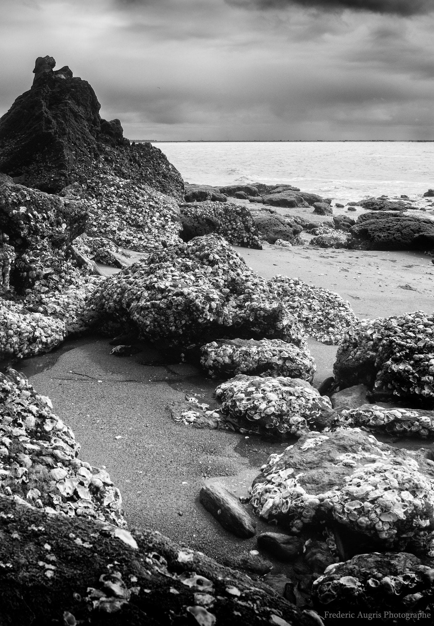 Nikon D7100 + Sigma 28-105mm F2.8-4 Aspherical sample photo. Loire-atlantique coast photography