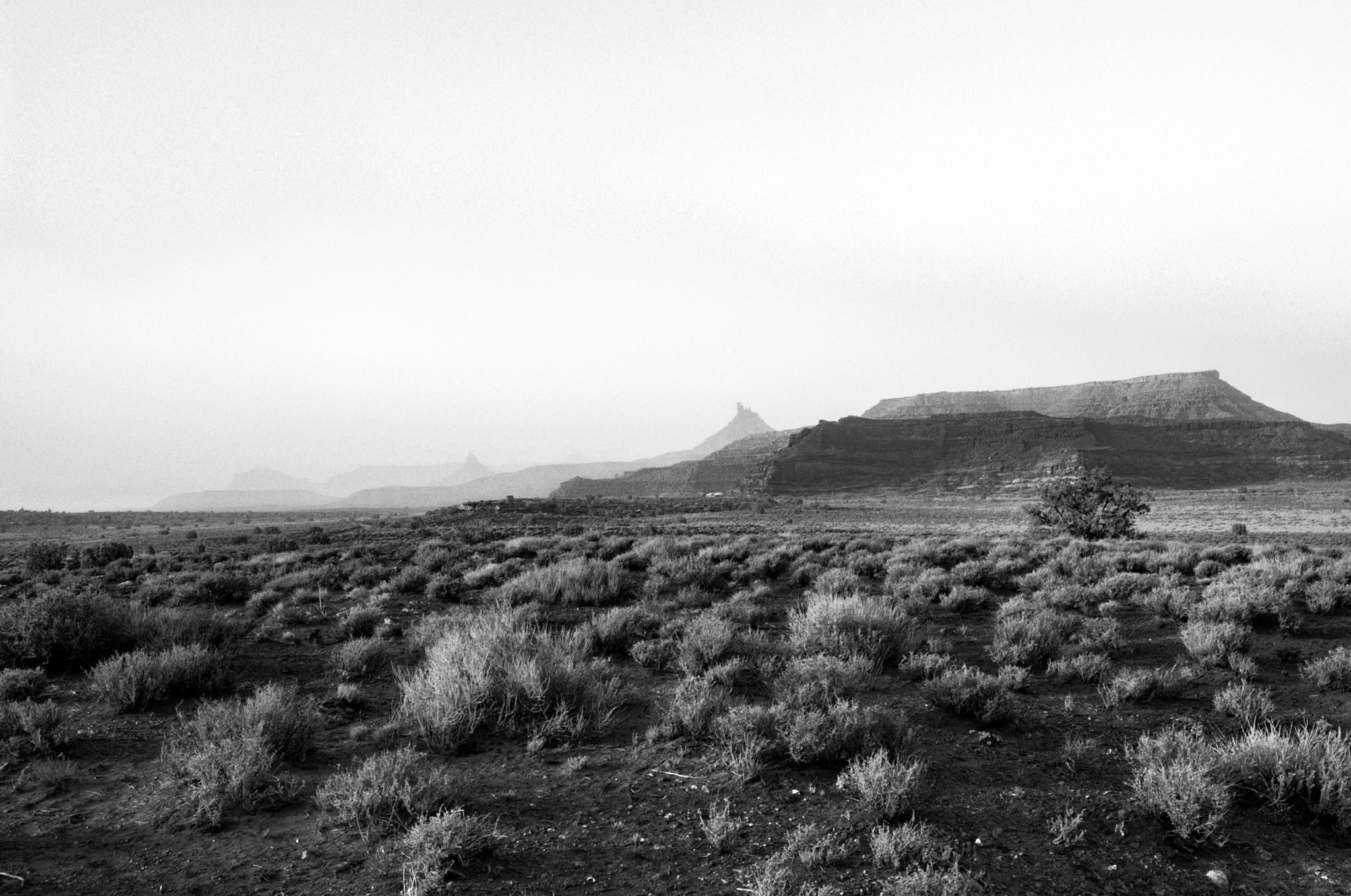 AF Zoom-Nikkor 35-135mm f/3.5-4.5 sample photo. Sandstorm morning photography