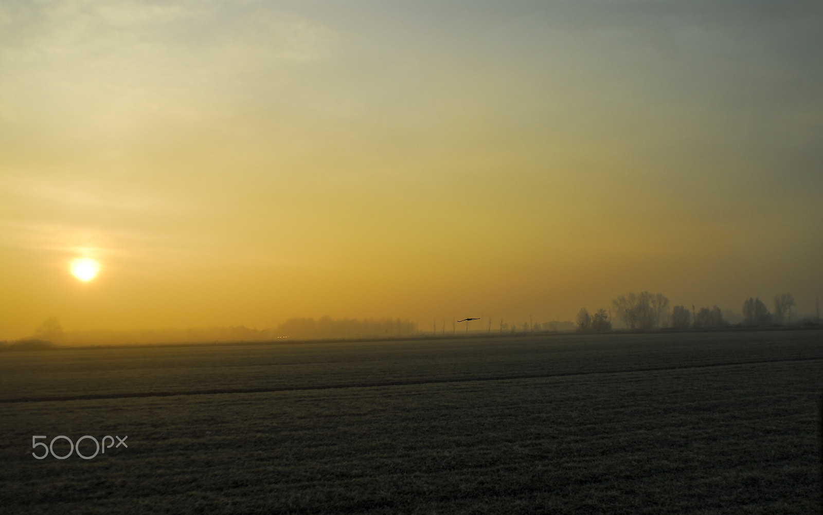 Nikon AF Nikkor 20mm F2.8D sample photo. Sunset with fog photography