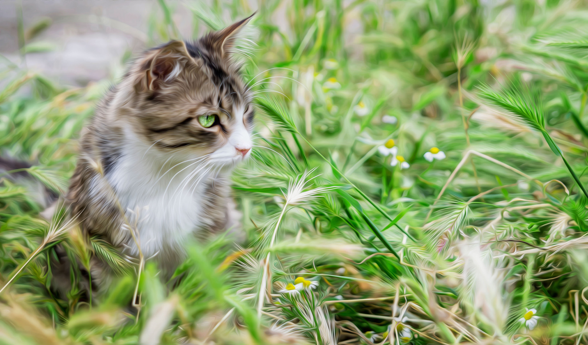 Sigma 24-70mm F2.8 EX DG HSM sample photo. Green eye photography