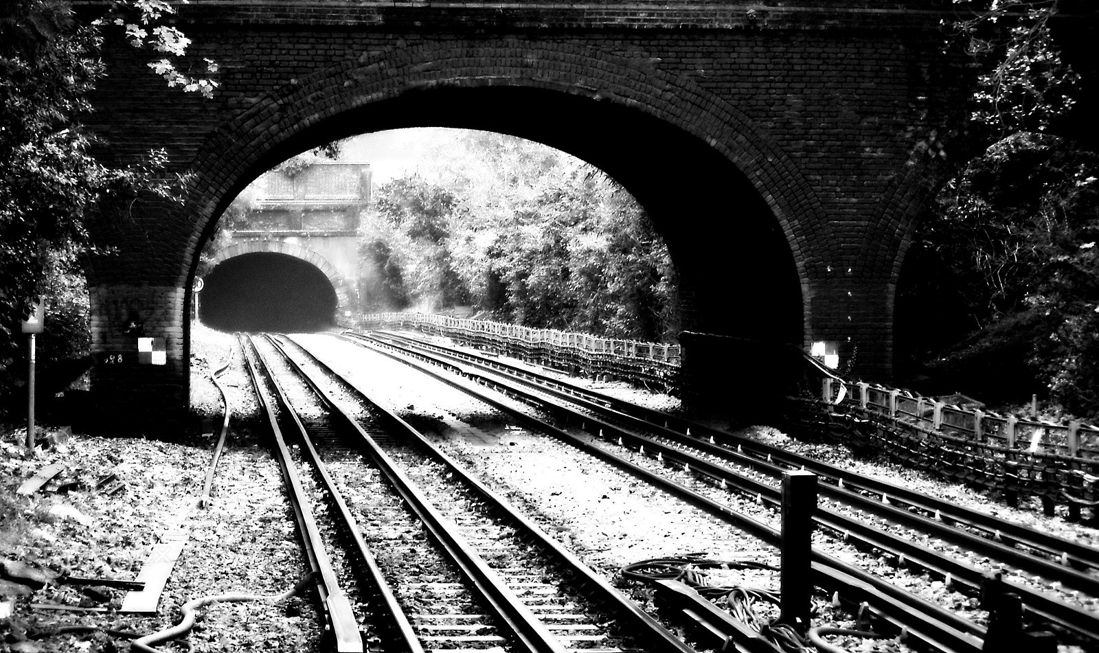 Olympus SP500UZ sample photo. #fogvision photography