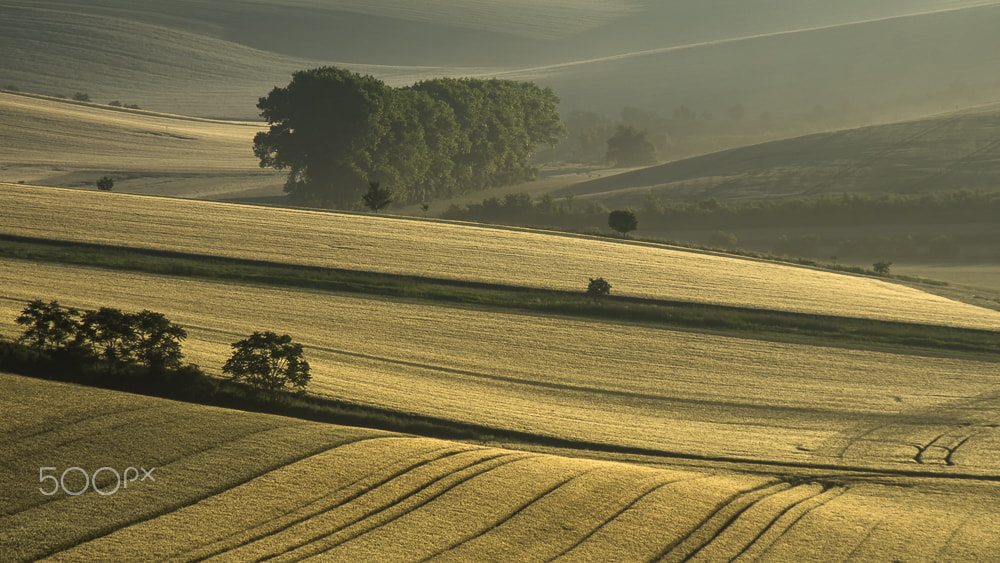 HD Pentax DA 55-300mm F4.0-5.8 ED WR sample photo. Morn ... photography