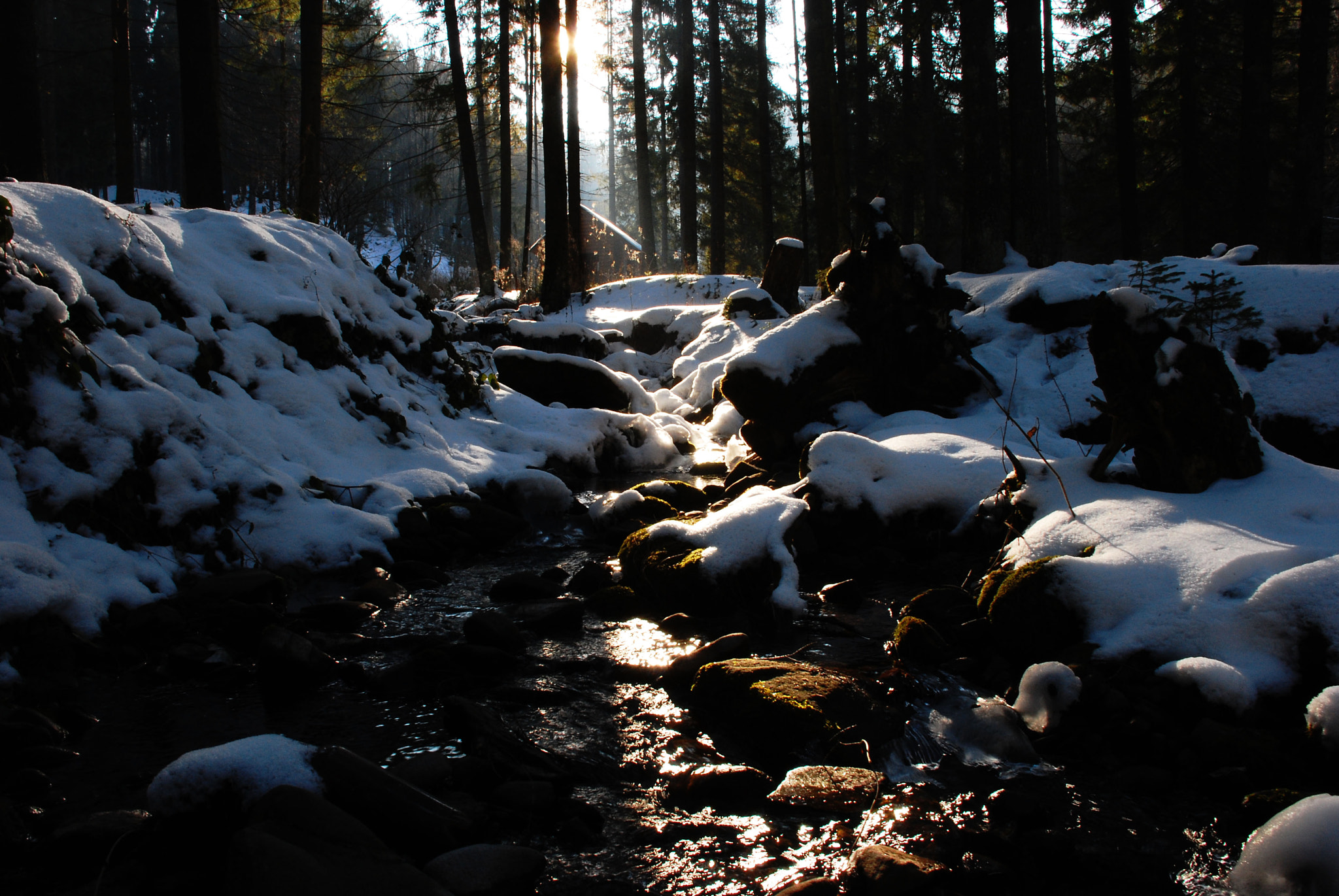 Nikon D40X sample photo. Pppppppc photography