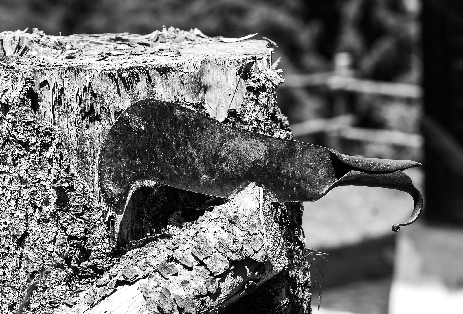 Nikon D200 + Nikon AF Nikkor 105mm F2D DC sample photo. Woodcutter photography