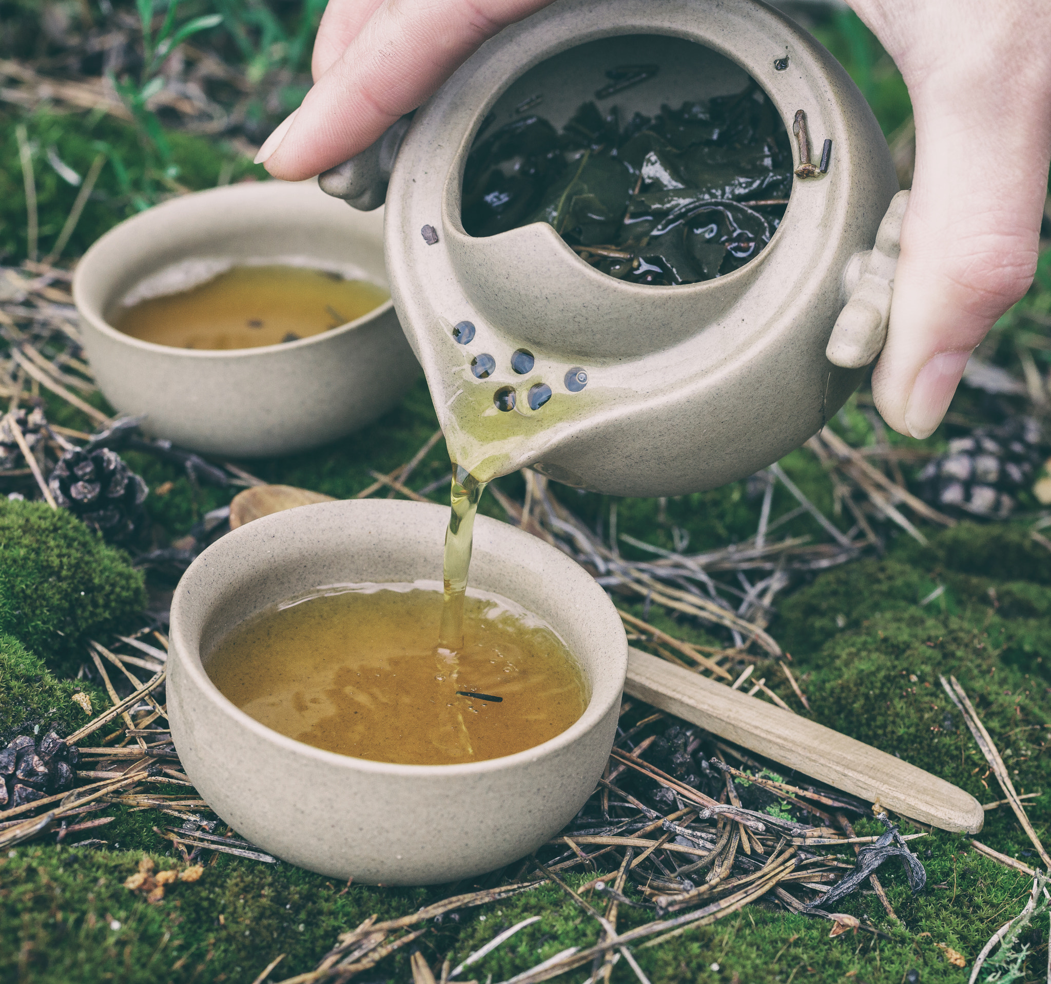 Canon EF 50mm F2.5 Macro sample photo. Tea set on the ground photography