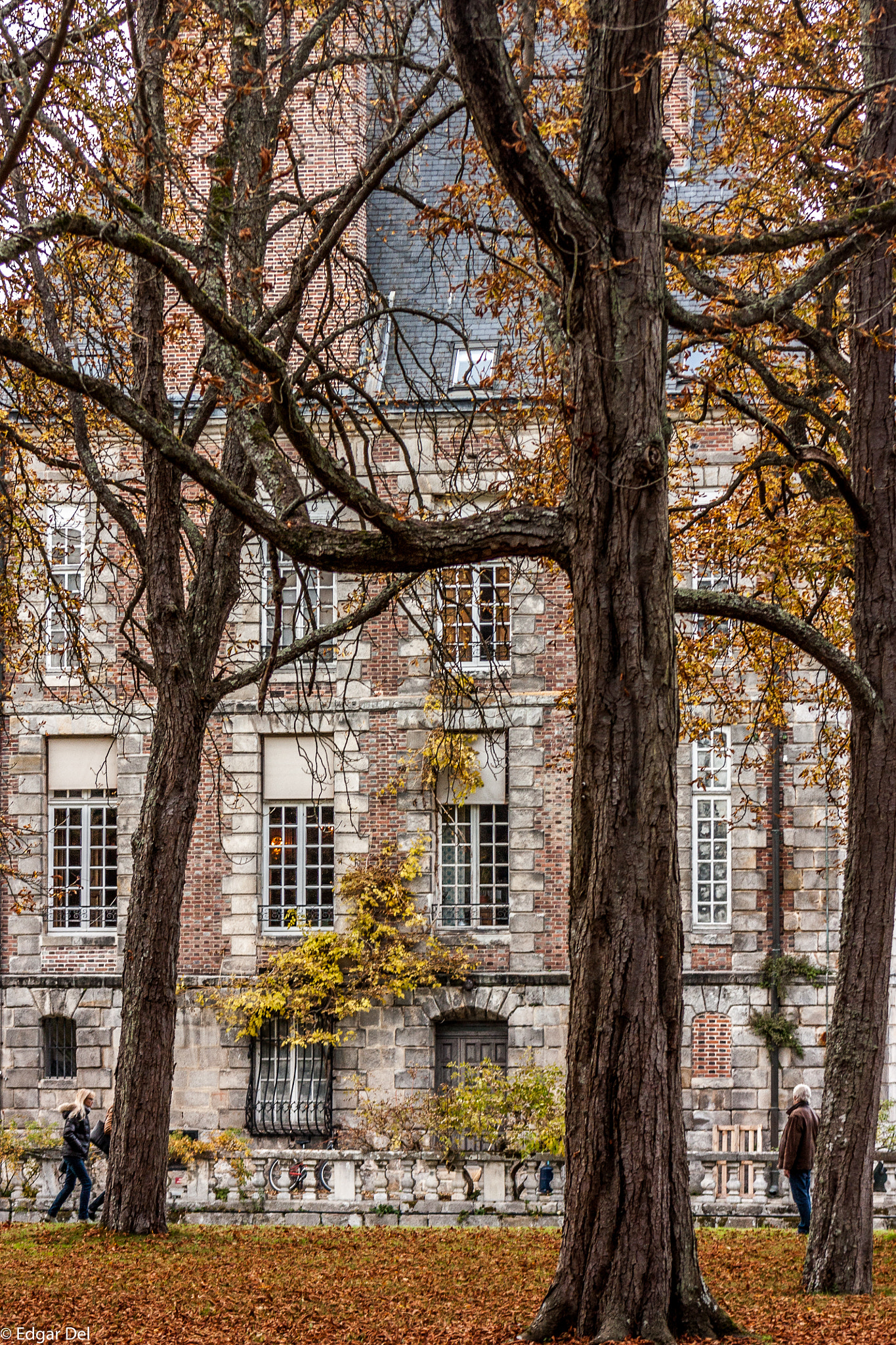 Canon EF 75-300mm f/4-5.6 USM sample photo. Courances photography