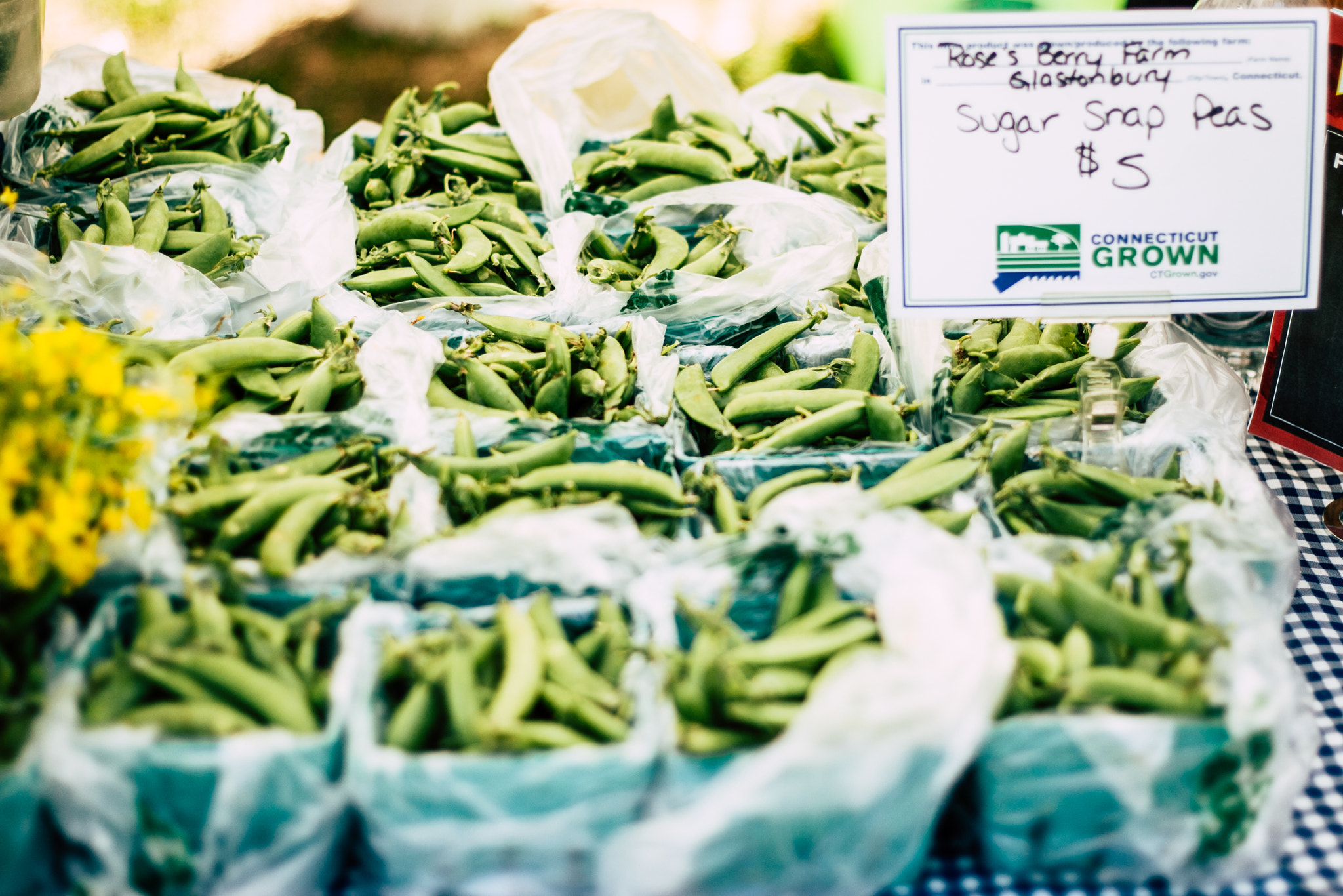 Canon EOS-1D Mark II + Canon EF 50mm F1.8 II sample photo. Snap peas photography