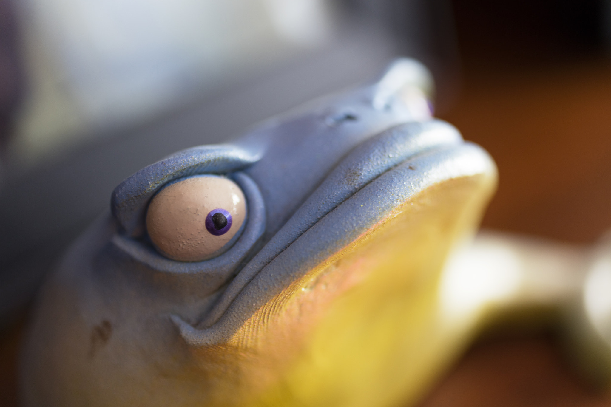 Canon EOS 5DS + Canon EF 50mm F2.5 Macro sample photo. Blue frog photography