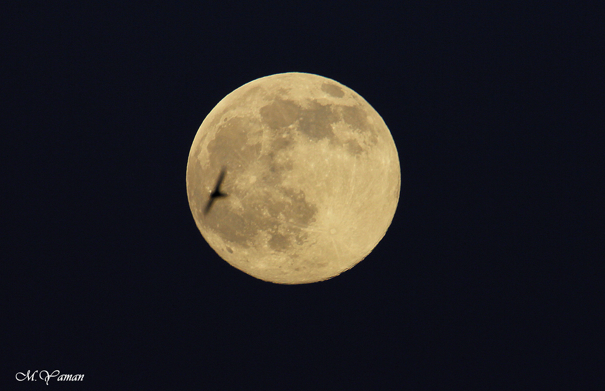 Tamron SP 150-600mm F5-6.3 Di VC USD sample photo. Moon & swallow photography