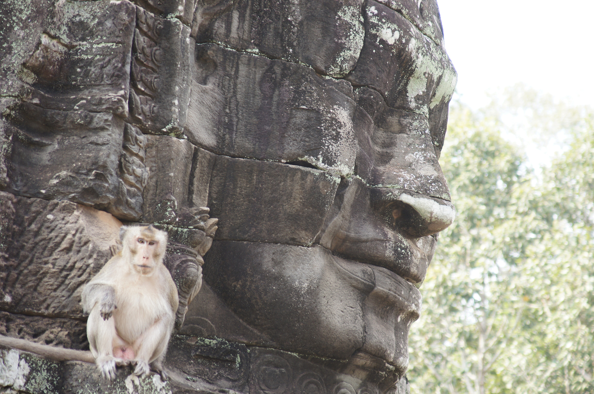 Sony Alpha DSLR-A580 sample photo. Angkor photography