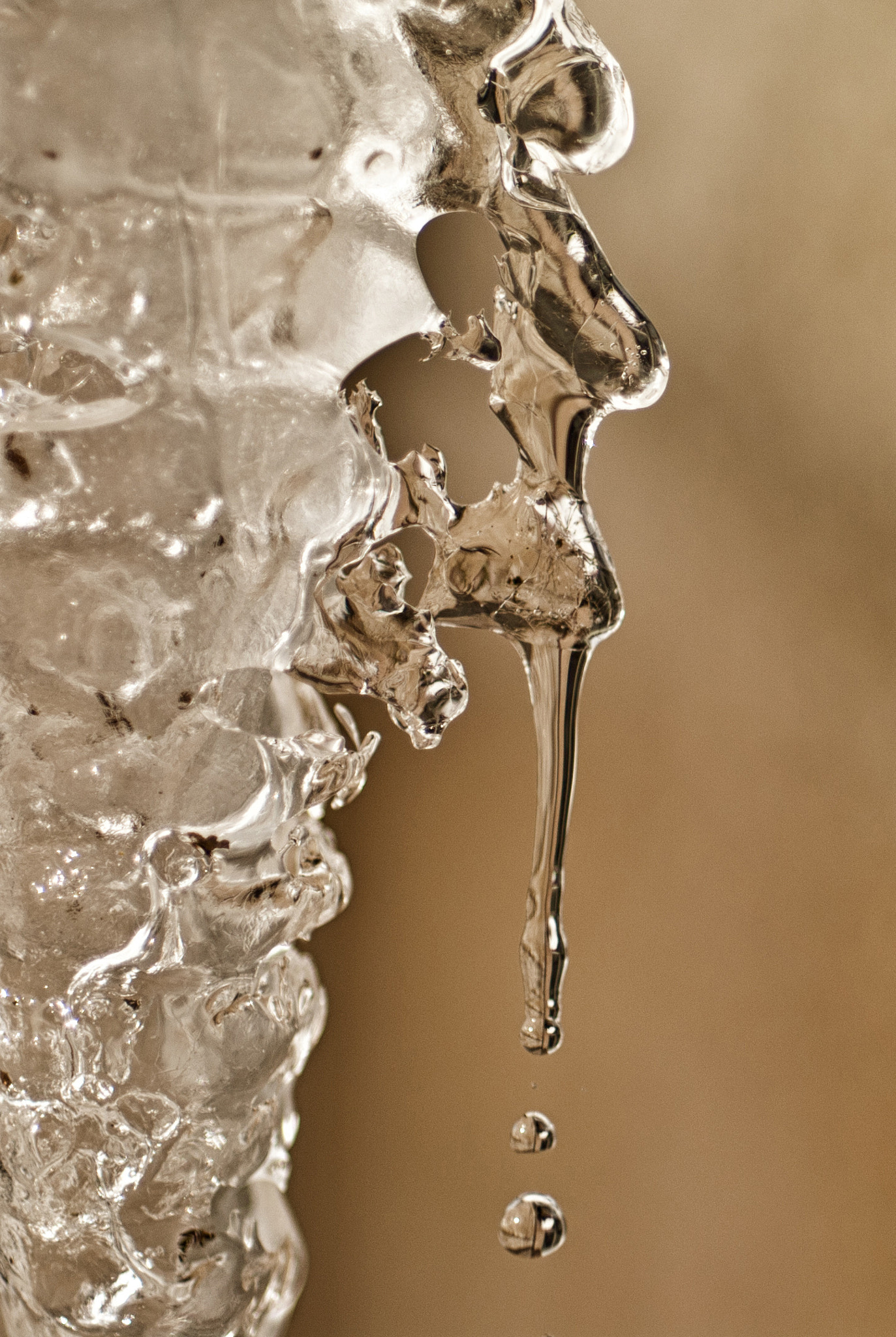 Nikon D200 + Nikon AF Micro-Nikkor 60mm F2.8D sample photo. Icedrop photography