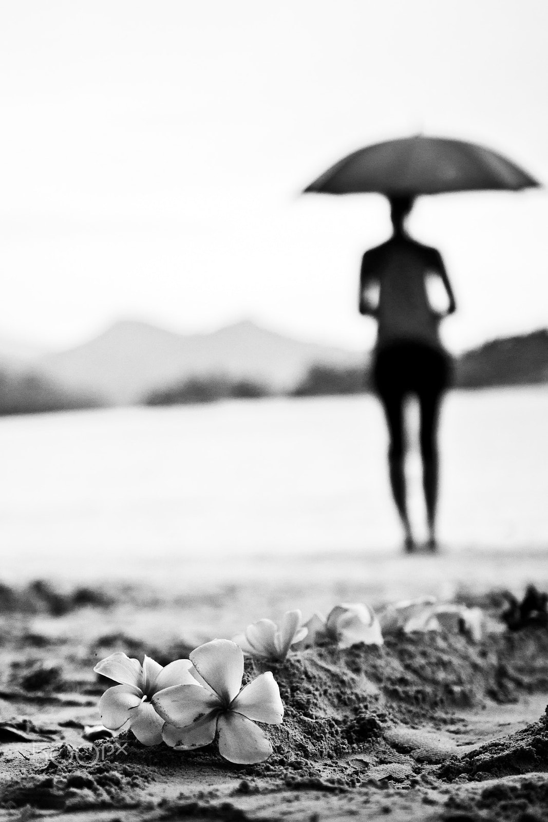 Sigma 18-35mm f/1.8 DC HSM sample photo. Rain in paradise photography