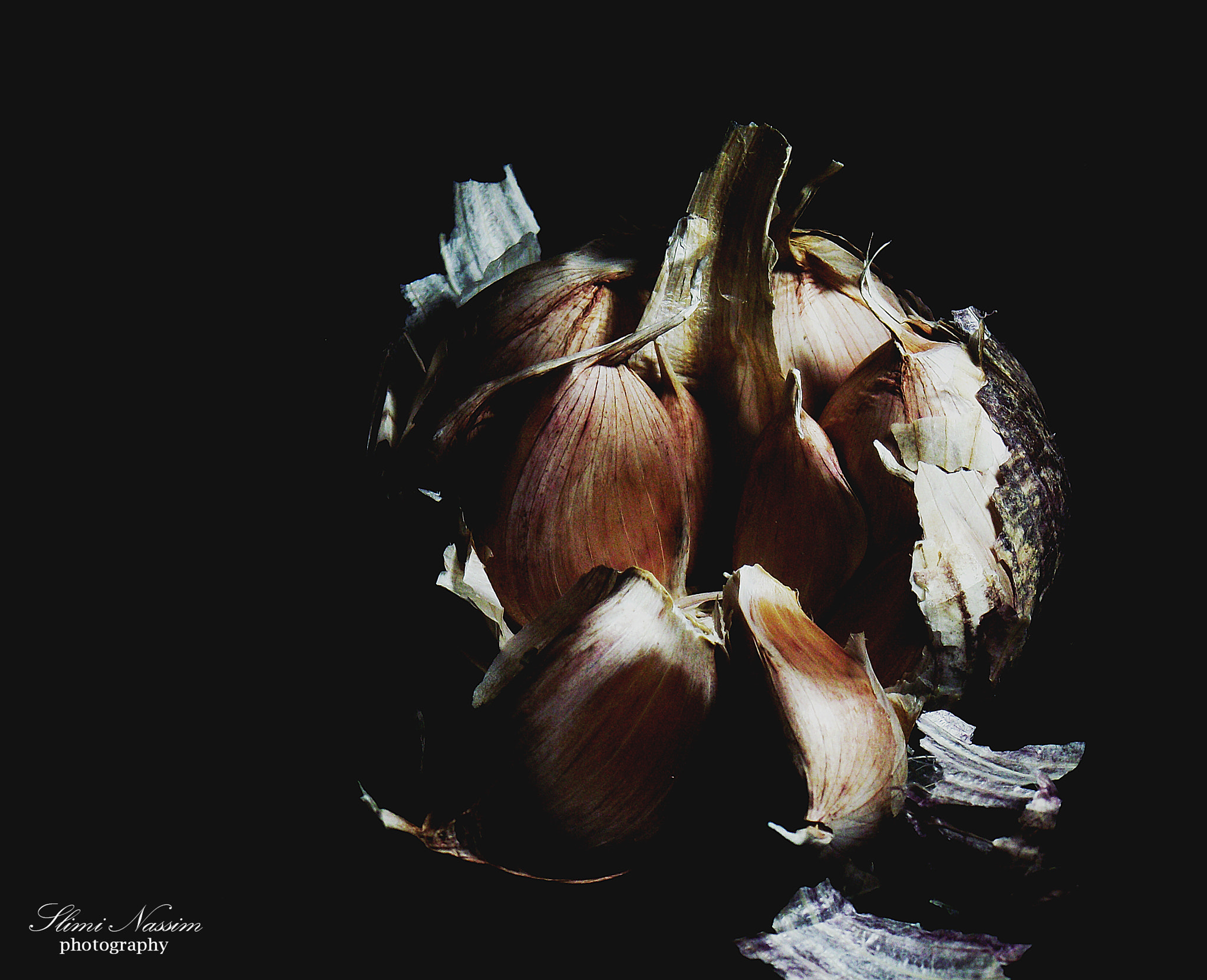 FujiFilm FinePix S1600 (FinePix S1770) sample photo. Garlic photography