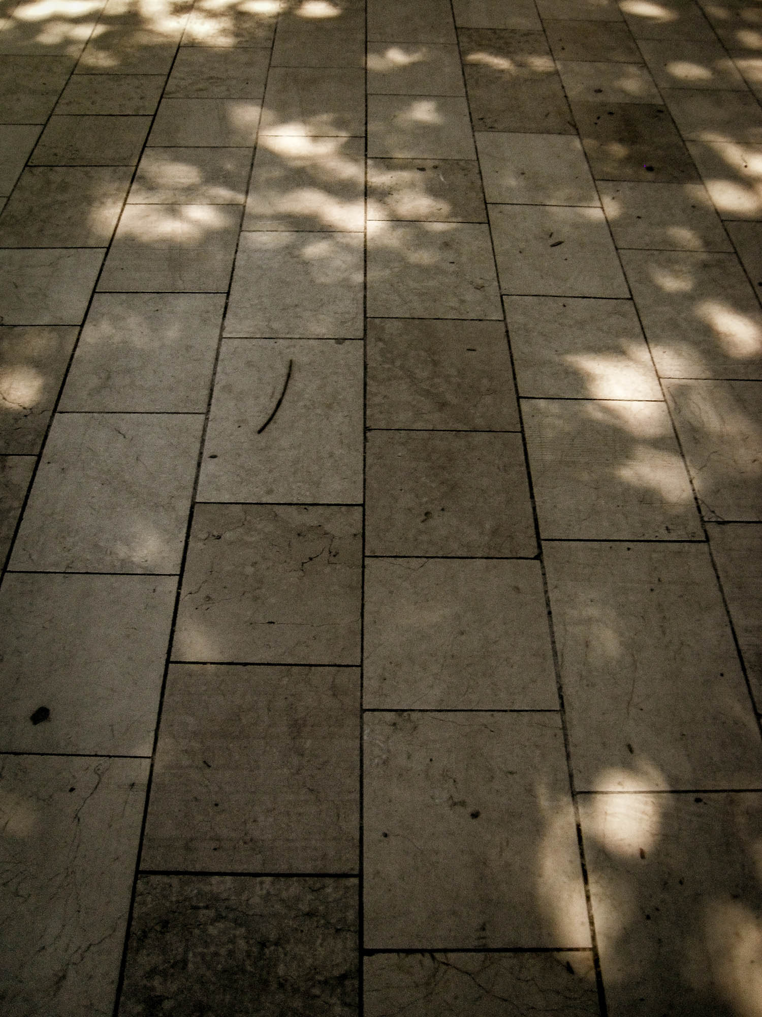 Samsung ES20/ VLUU ES20/  SL35 sample photo. Walk photography