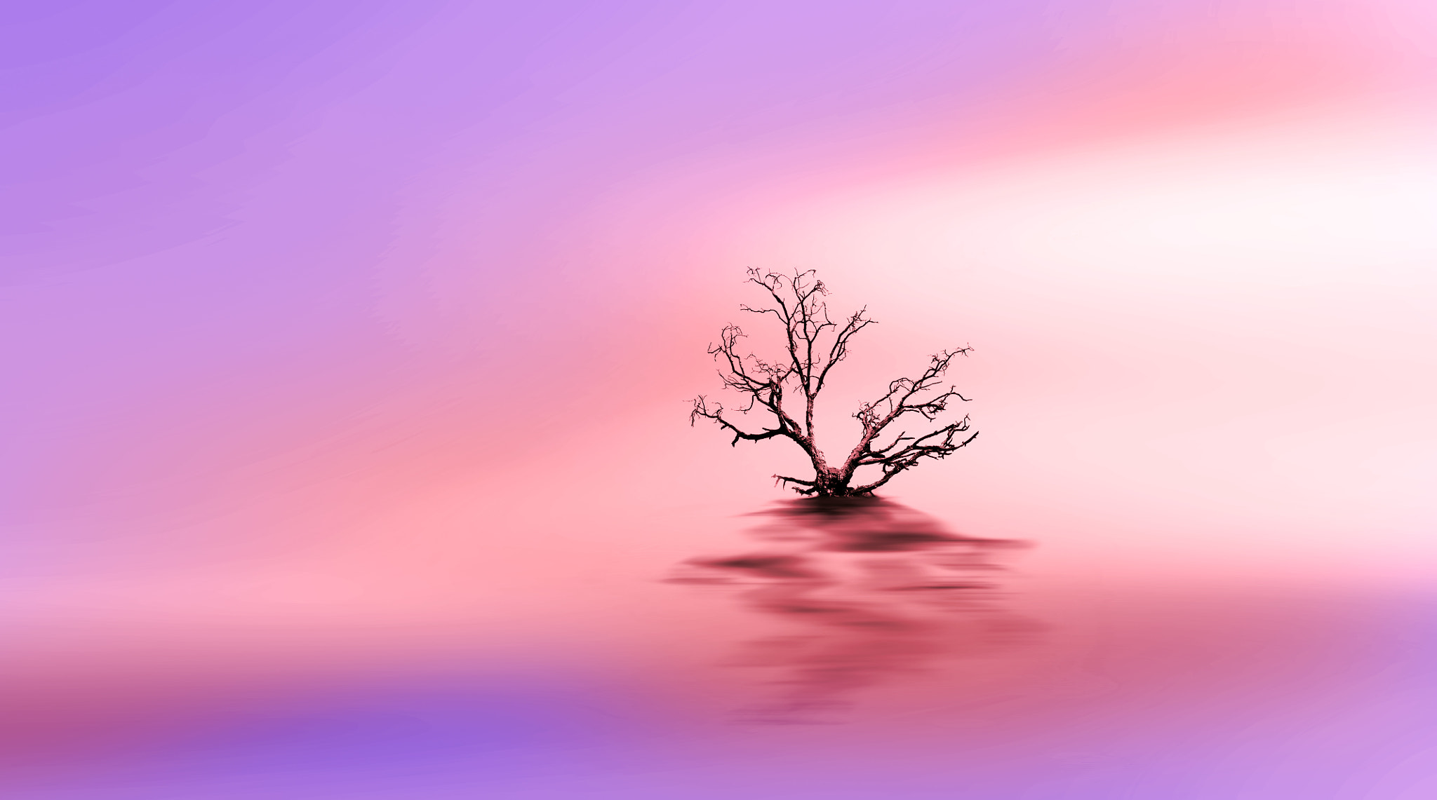 Canon EOS 1100D (EOS Rebel T3 / EOS Kiss X50) sample photo. Lonely tree! photography