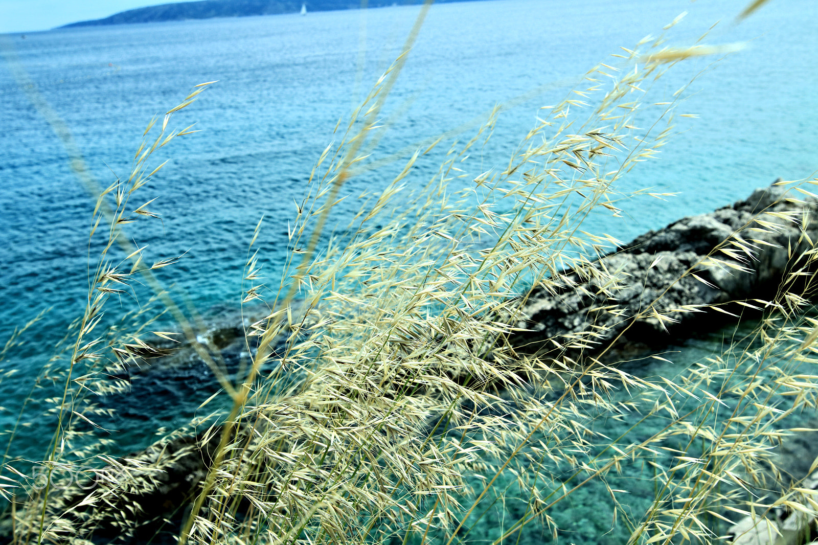Canon EOS 750D (EOS Rebel T6i / EOS Kiss X8i) sample photo. Insel krk photography