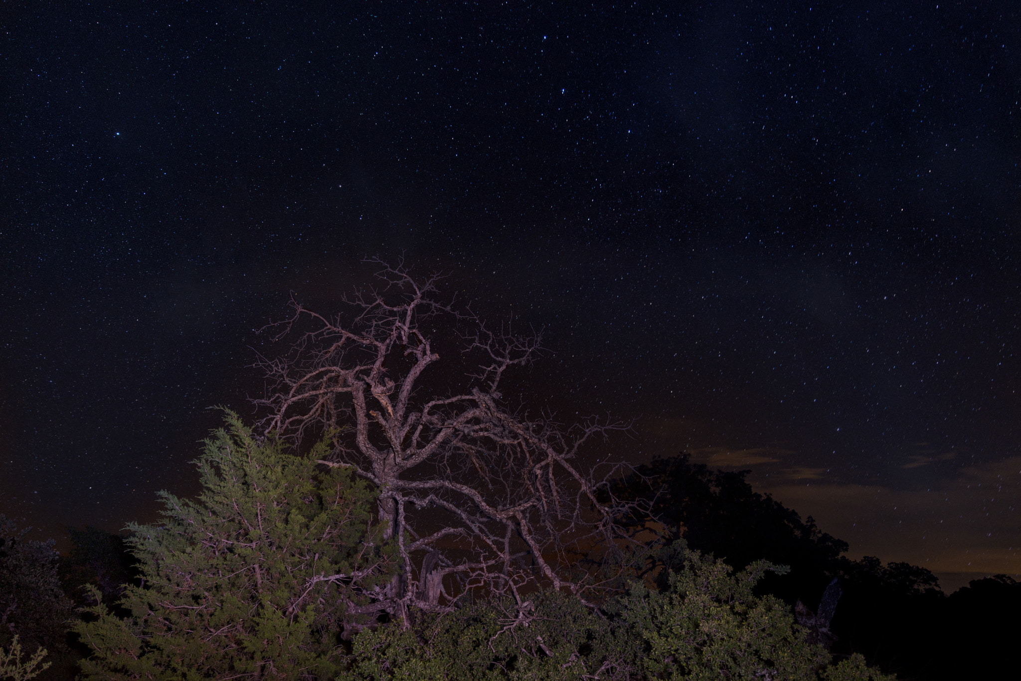 Nikon AF-S Nikkor 14-24mm F2.8G ED sample photo. Central texas stars photography
