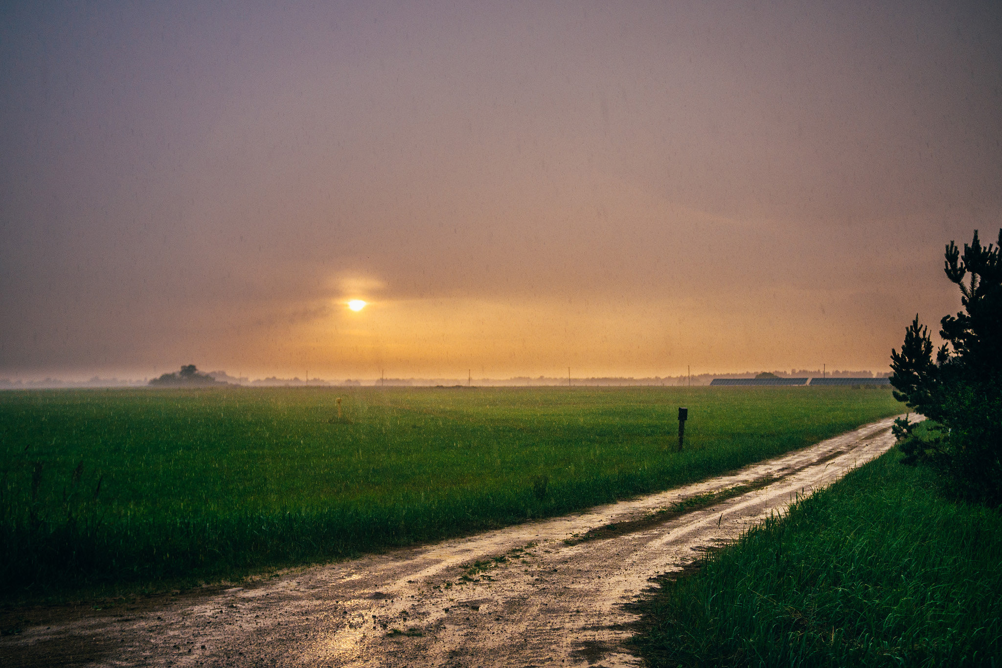 Panasonic Lumix DMC-GX7 + Panasonic Lumix G 20mm F1.7 ASPH sample photo. Rainy sunset photography