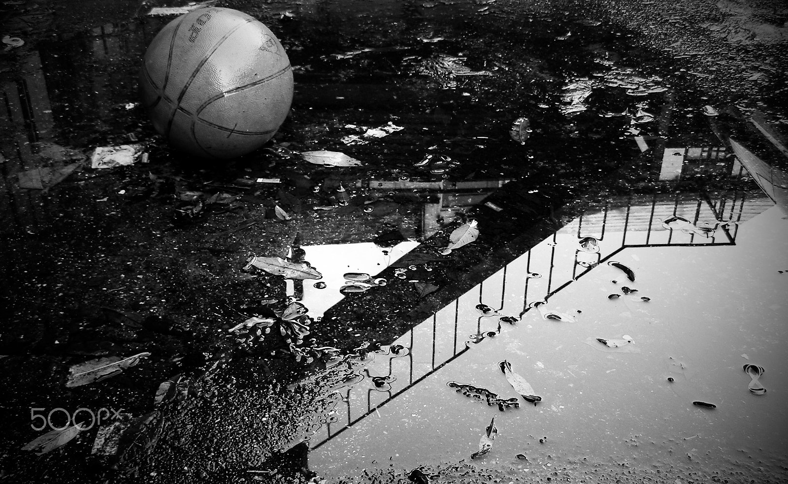 Olympus SP500UZ sample photo. #basketballwaydown photography
