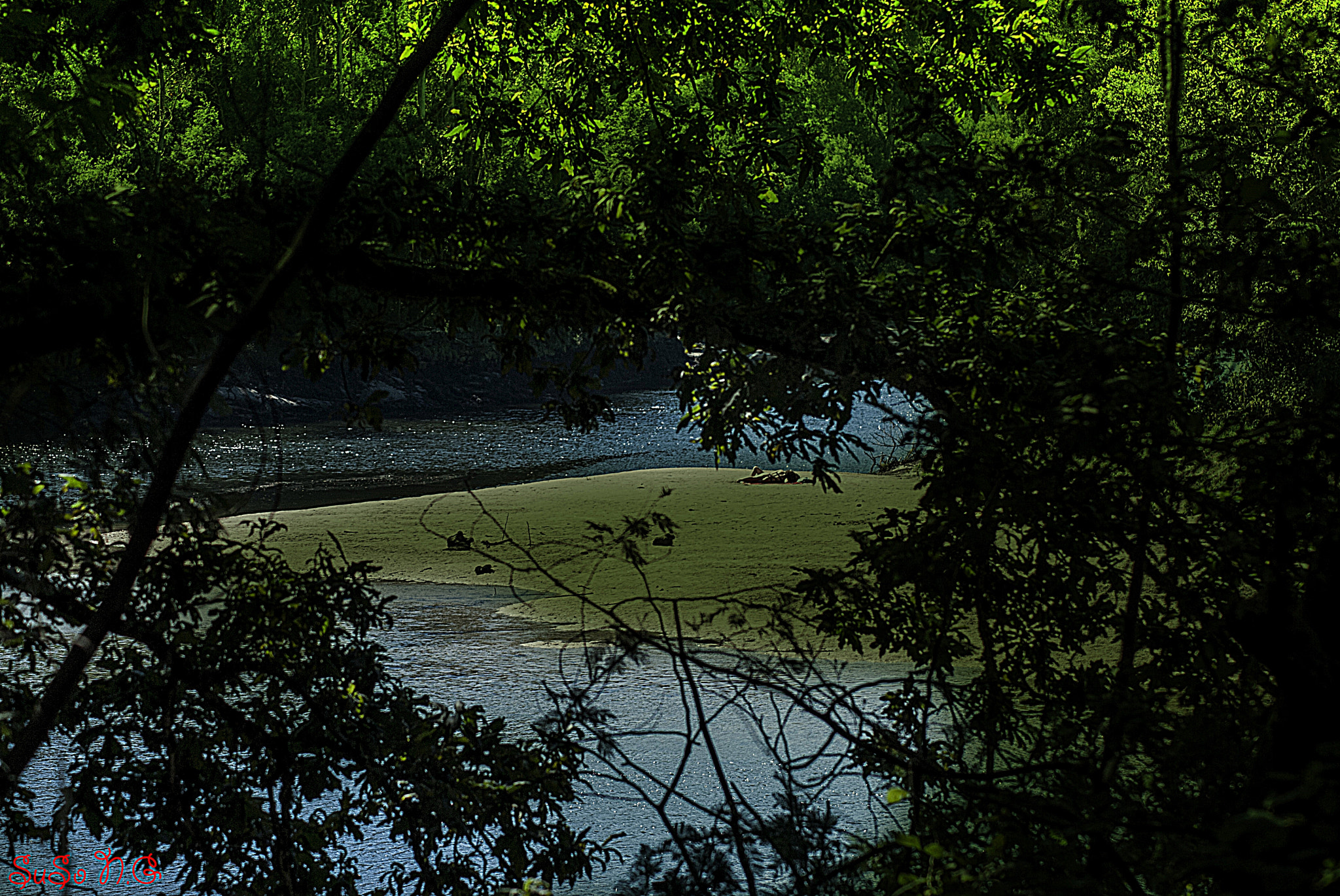 Nikon D3000 sample photo. Natu photography