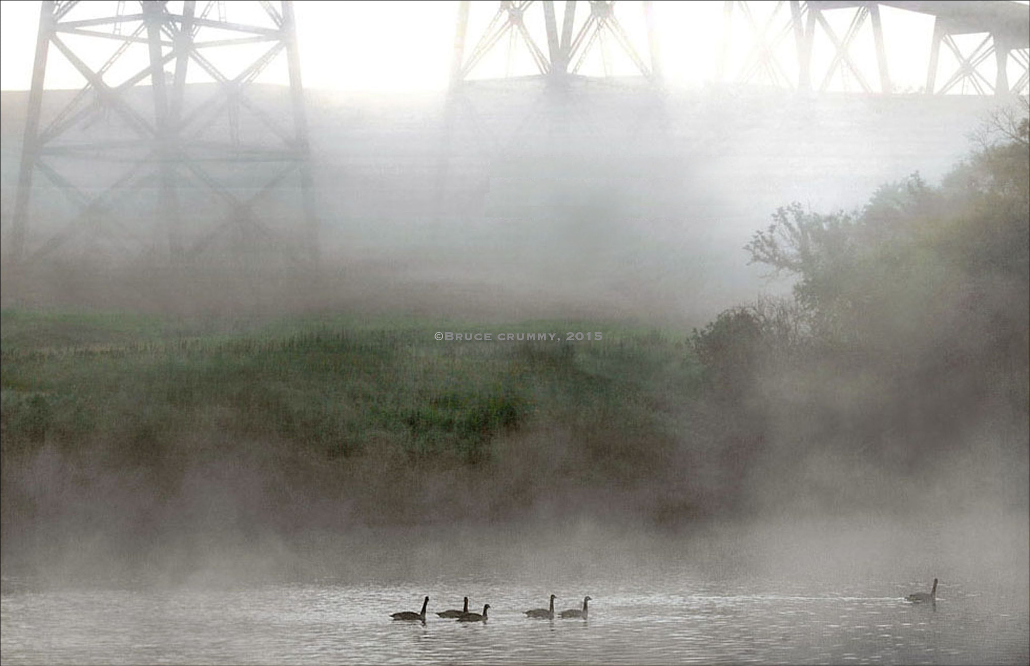 Canon EOS-1Ds Mark II sample photo. Morning mist photography