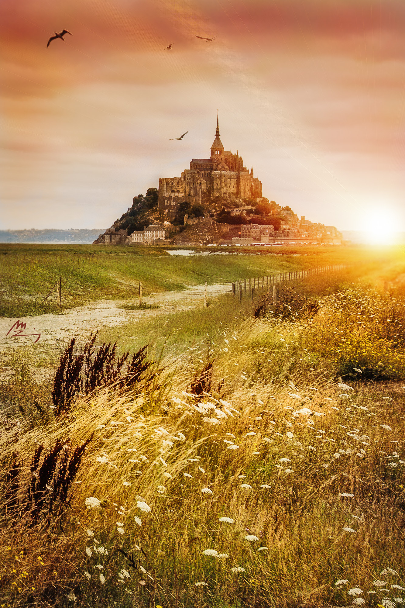 Canon EOS 50D + Canon EF 16-35mm F2.8L USM sample photo. Sunset at mont saint-michel photography