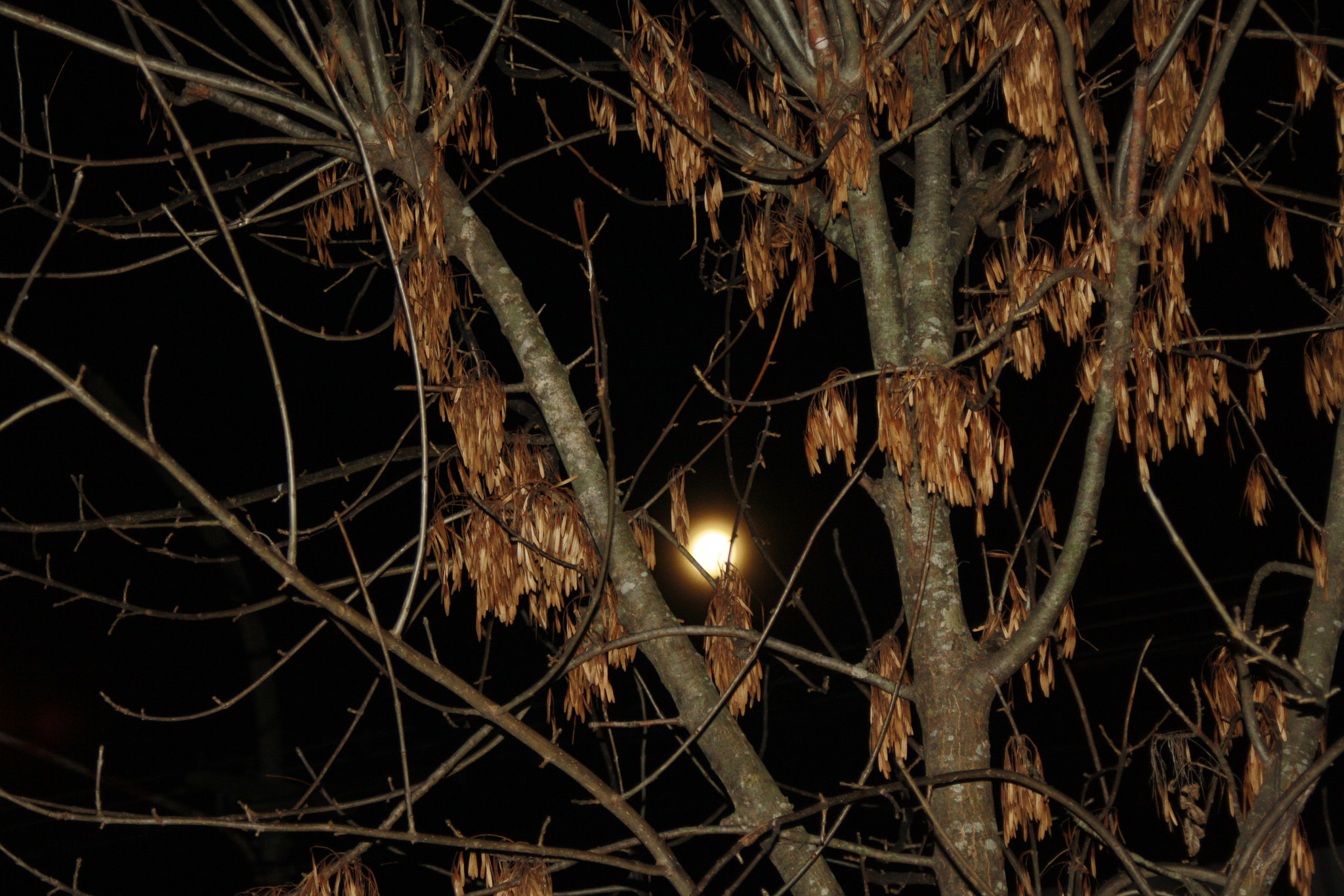 Canon EF 35-80mm f/4-5.6 sample photo. Sleepy hollow photography