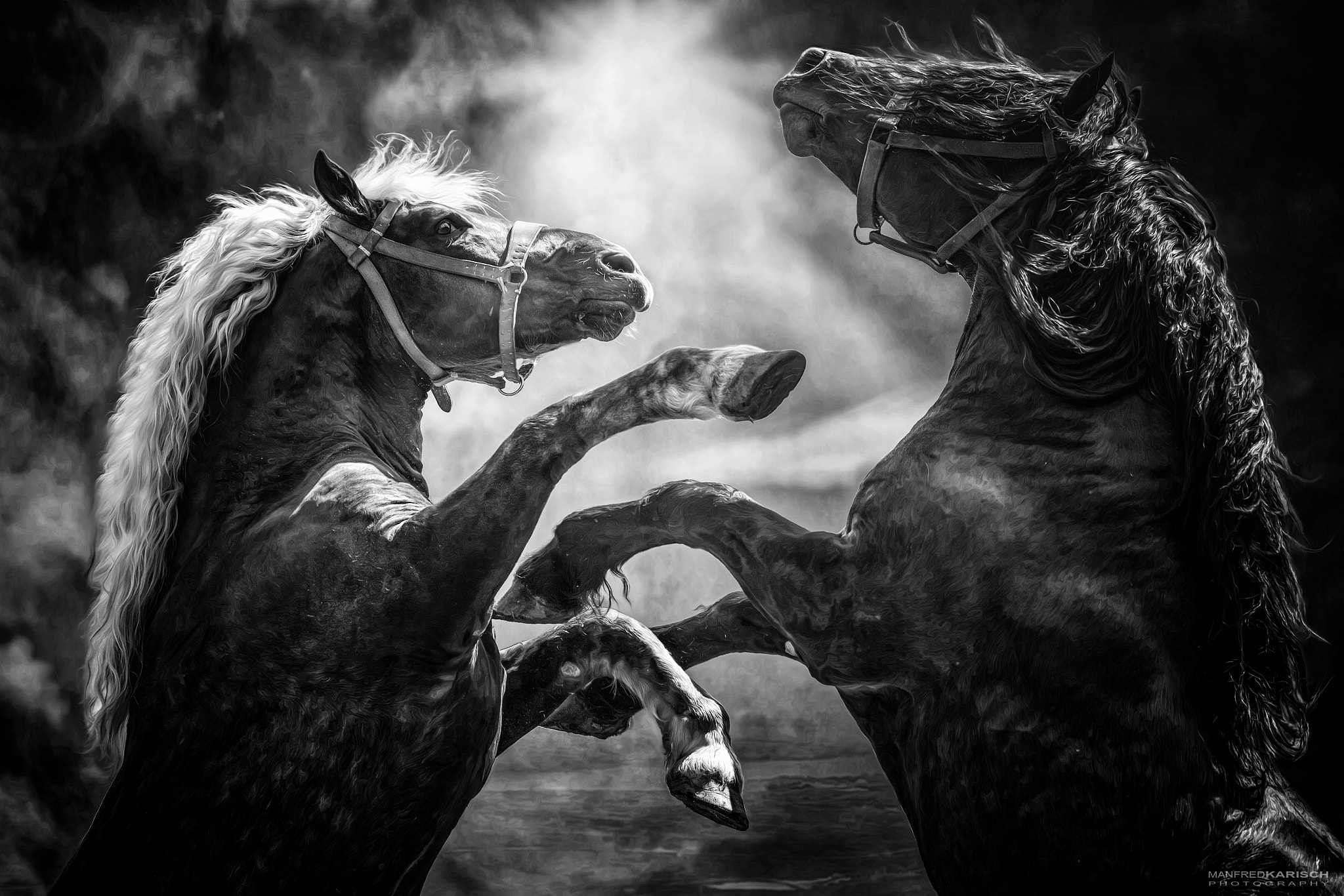 Canon EF 200mm F2.8L II USM sample photo. Battle photography