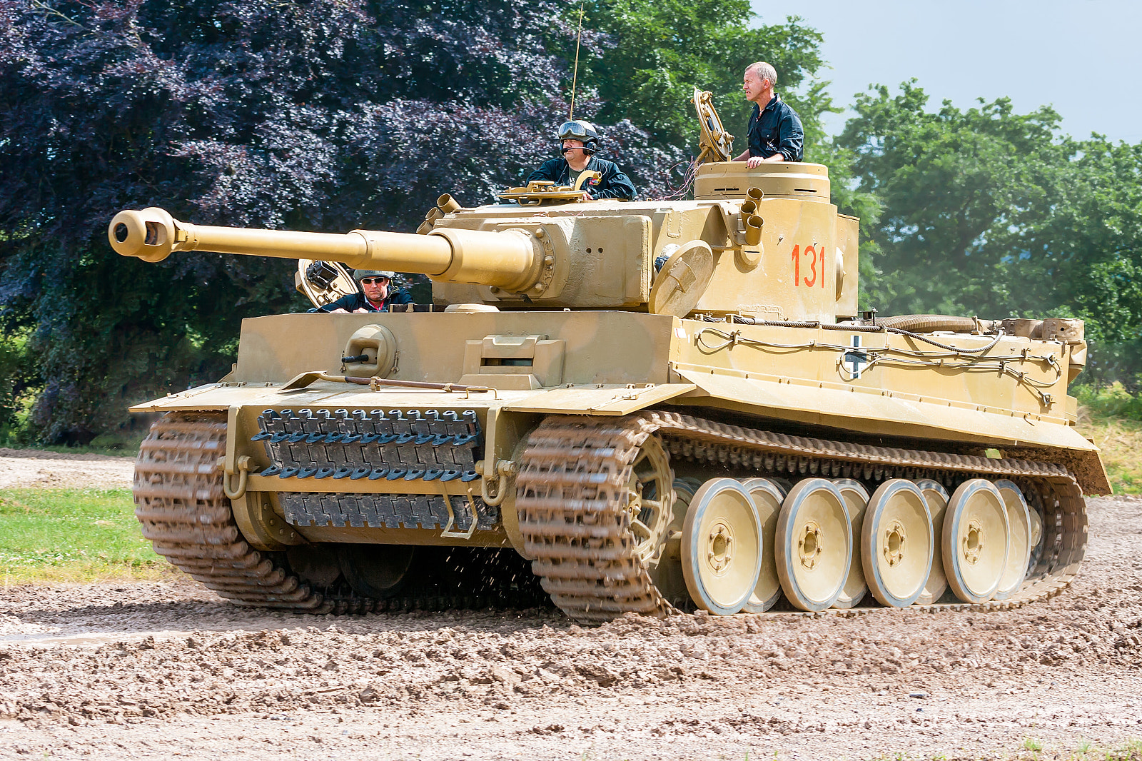 Canon EOS-1D Mark II N sample photo. Tiger 131 photography
