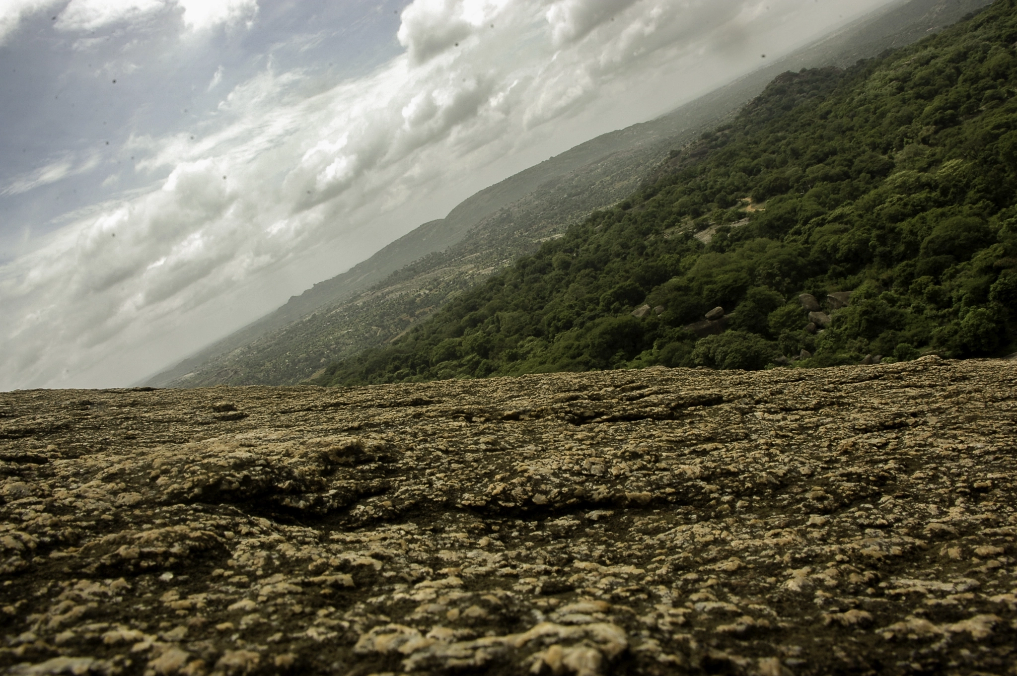 Nikon D70 sample photo. Dream within a dream photography