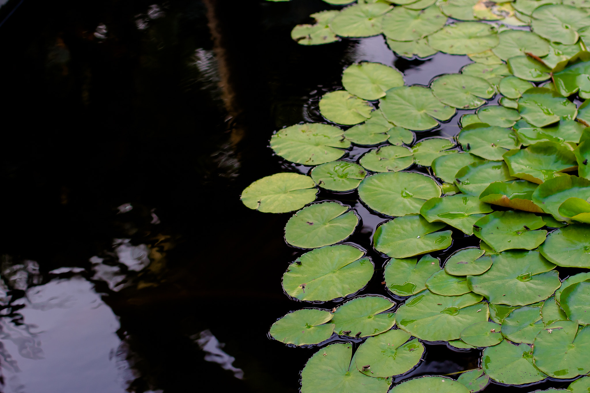 Canon EOS 650D (EOS Rebel T4i / EOS Kiss X6i) sample photo. Earth air fire water (of ) photography